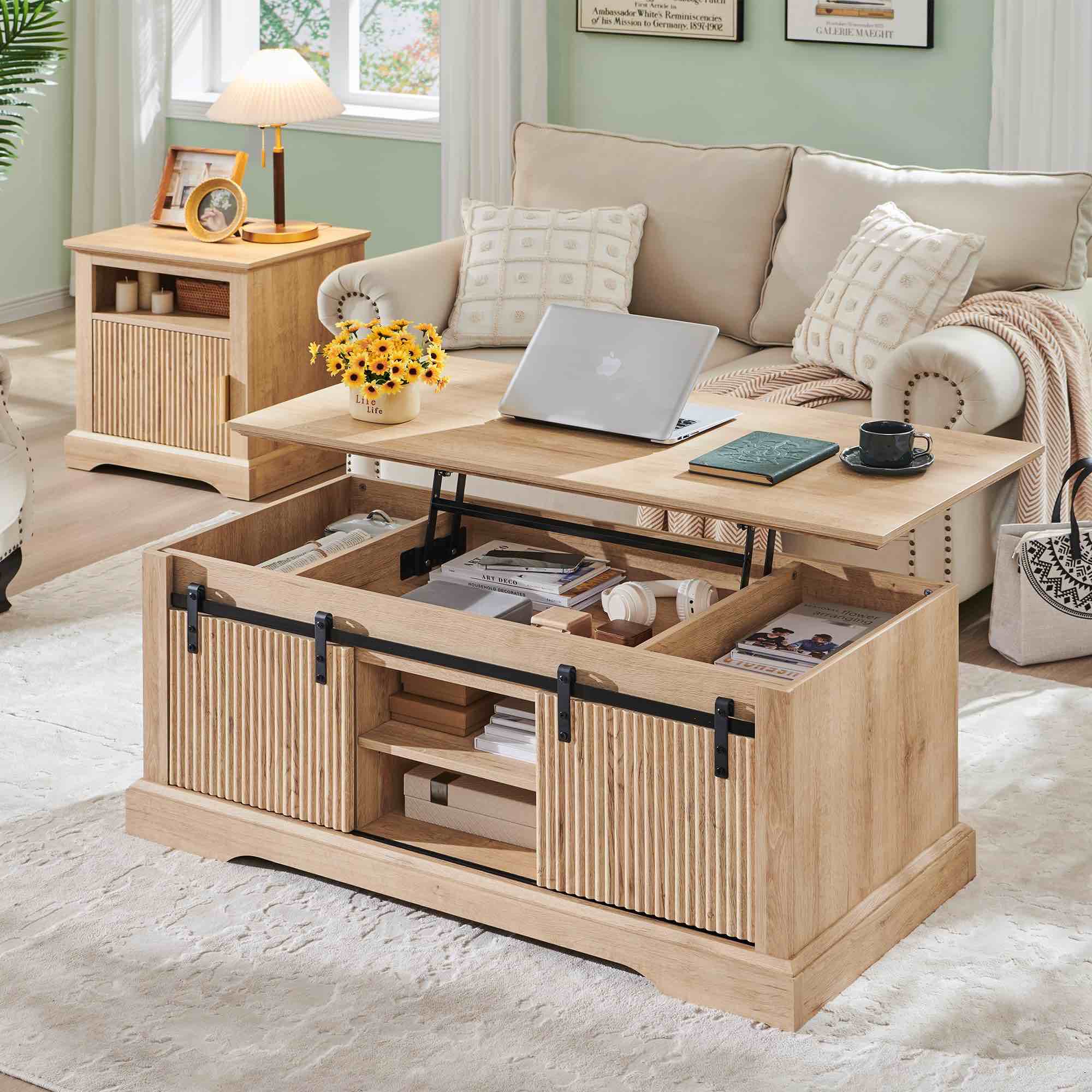 Aitjunz 46" Fluted Lift Top Coffee Table with Sliding Door, Modern