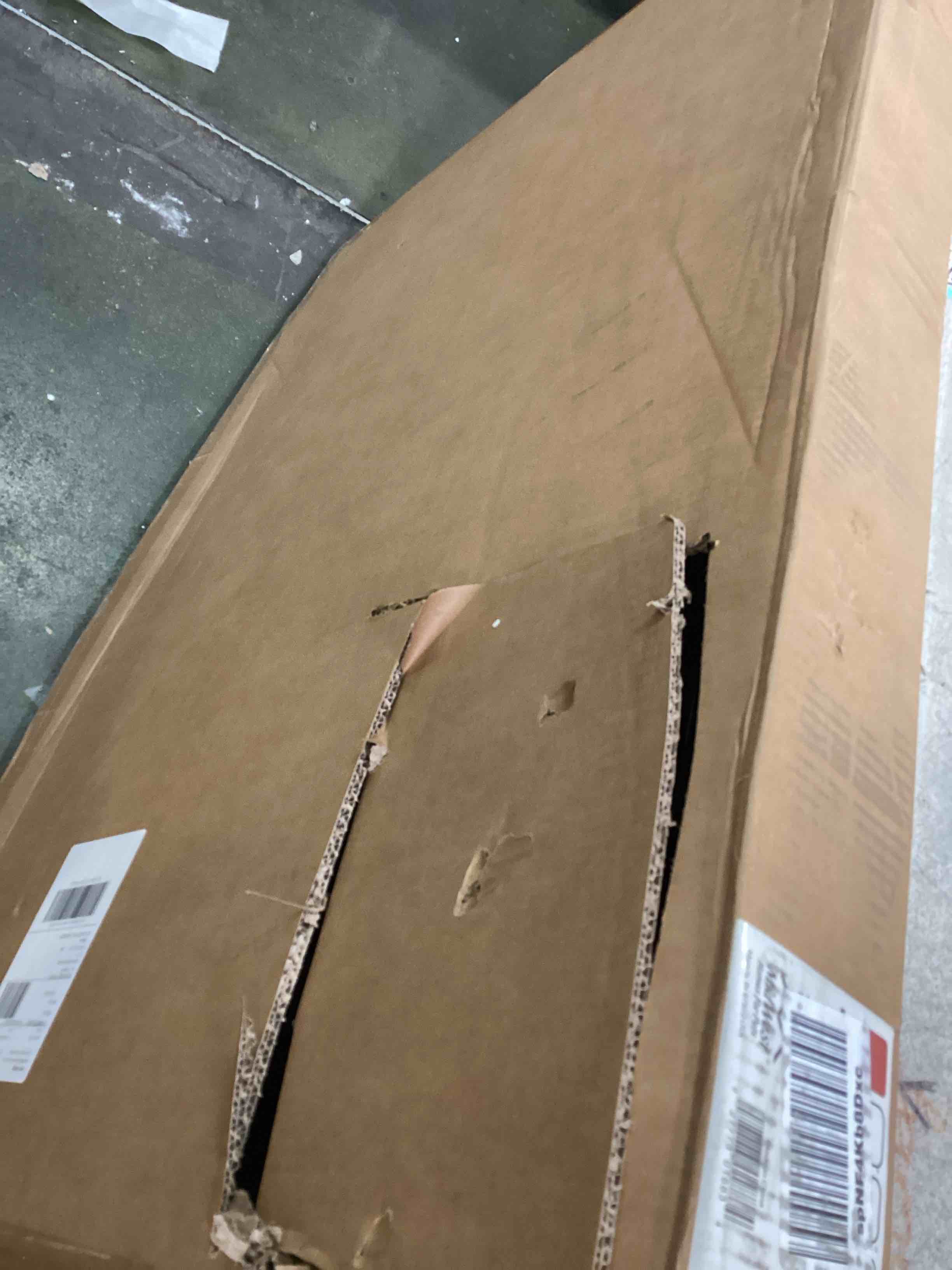 https://s3.amazonaws.com/lotting-images-prod/bidfta/TEA0547821_1730129708799.jpeg