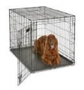 MidWest Homes for Pets Newly Enhanced Single Door iCrate Dog Crate 42 inch