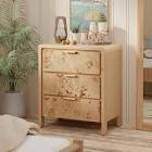 Manish 3 - Drawer Accent Chest