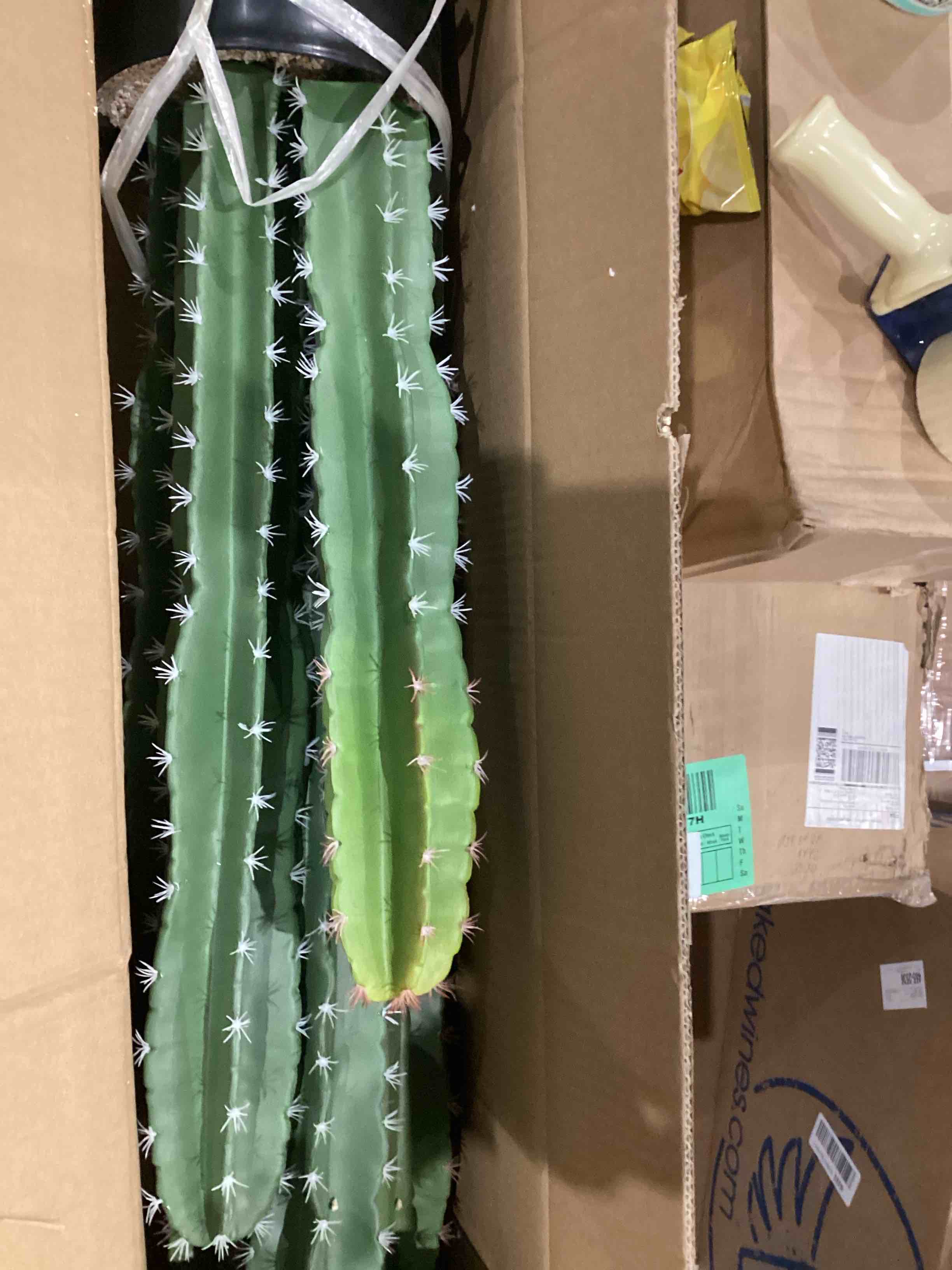 https://s3.amazonaws.com/lotting-images-prod/bidfta/TEA0593026_1737130167513.jpeg