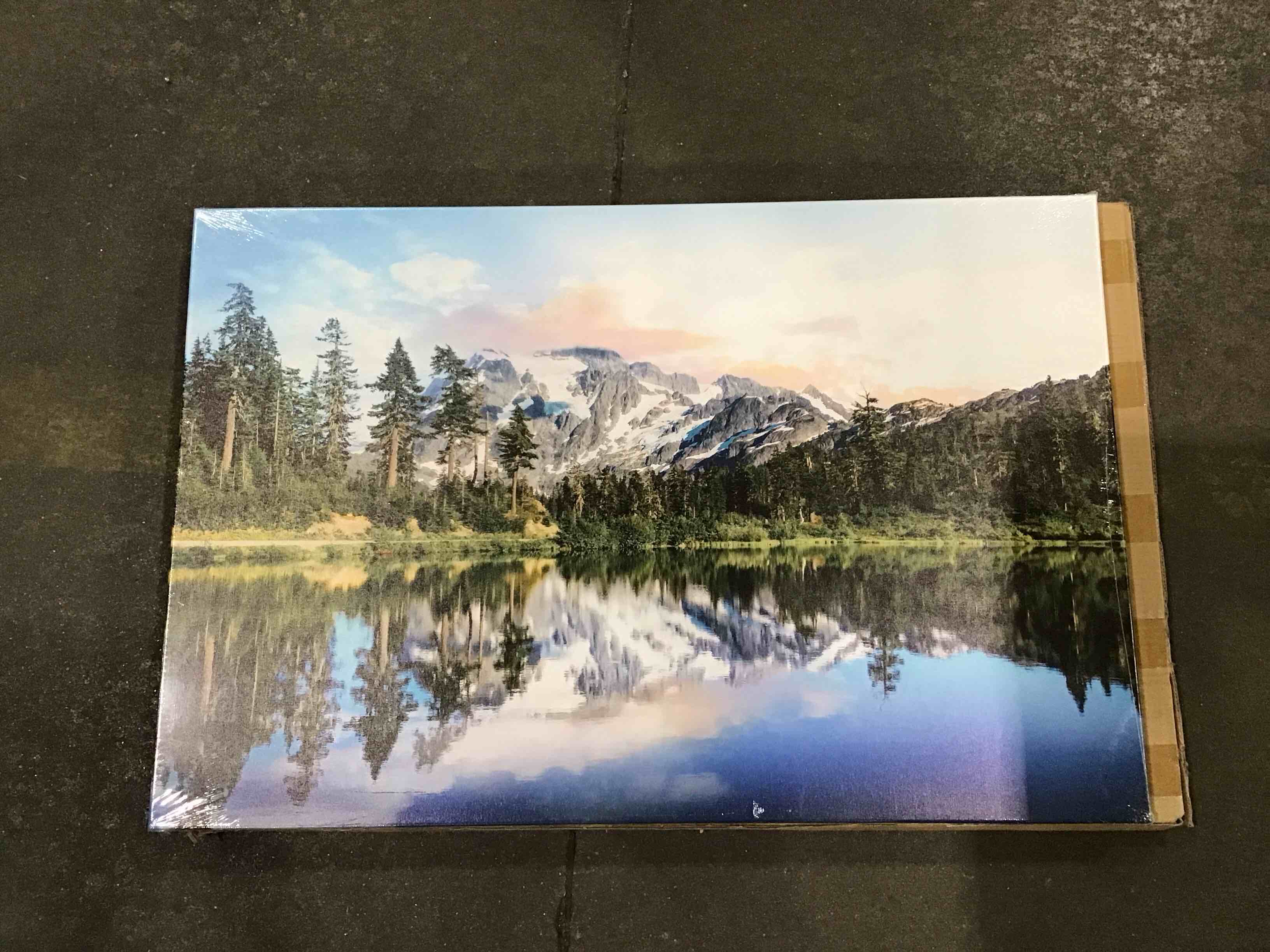 https://s3.amazonaws.com/lotting-images-prod/bidfta/TEA1219381_1747058056252.jpeg