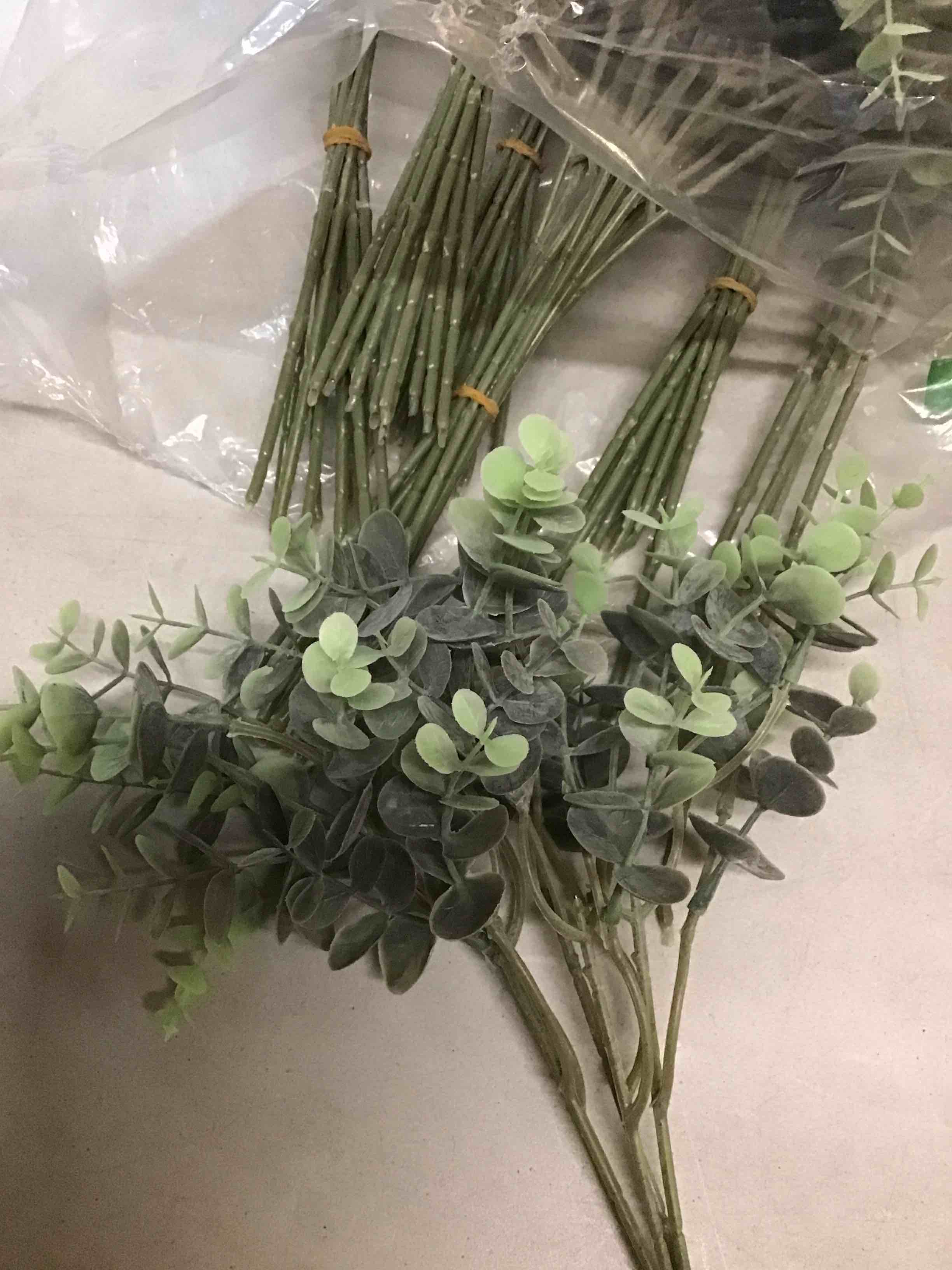 Condition photo showing Good Condition for 60pcs Eucalyptus Stems Artificial Eucalyptus Leaves Fake Greenery Branches Stems Faux Eucalyptuses Wedding Bouquet (60, Green)