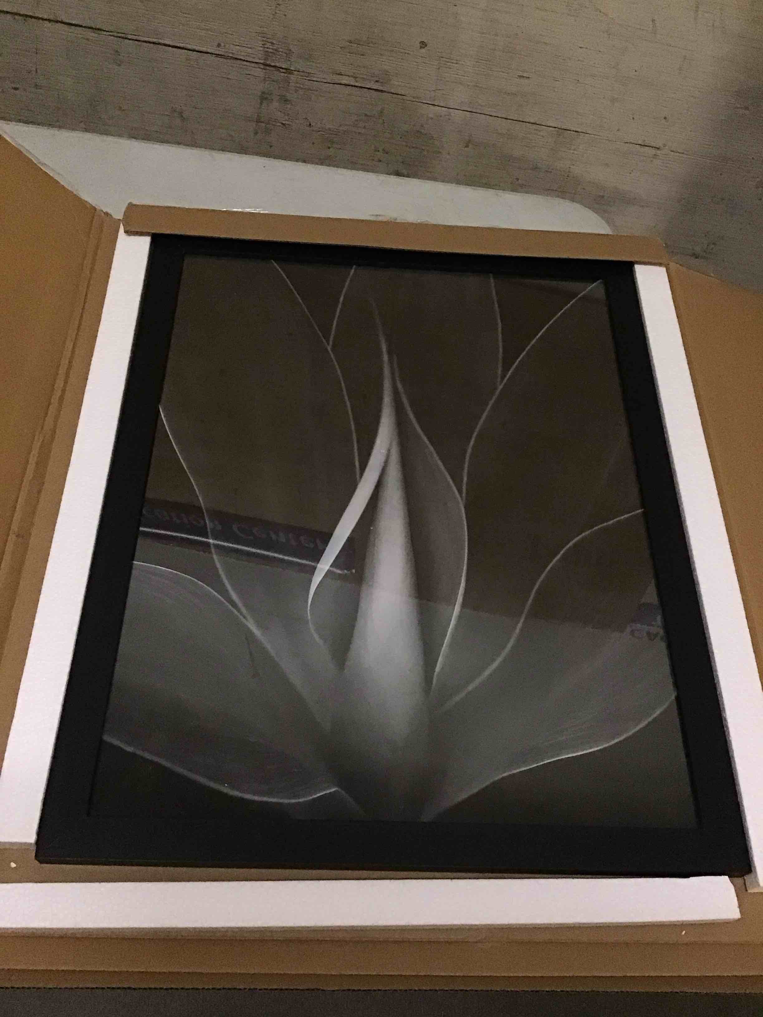Condition photo showing Good Condition for Americanflat 18x23 Poster Frame with Polished Plexiglass - Black Picture Frame - Wide Photo Frames Made of Engineered Wood for Vertical or Horizontal Wall Display - Epic Collection - Black Black 18x23