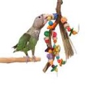 bird enrichment toy  
