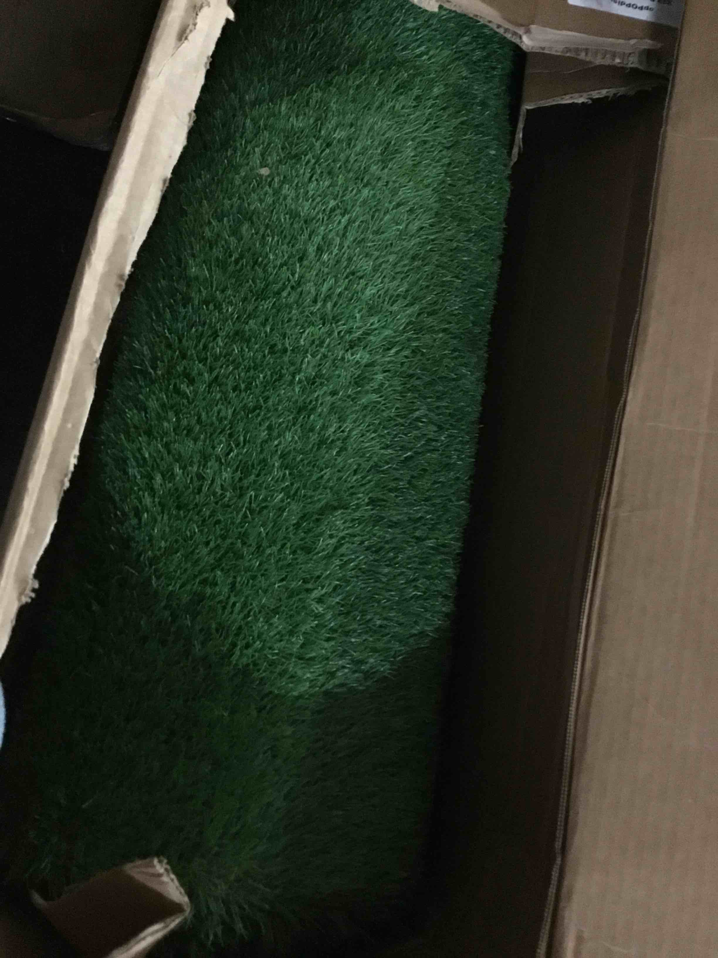 Condition photo showing Good Condition for LVBAO Synthetic Artificial Grass Turf with Drainage Holes Professional Pee Pad Fake Grass Rug Carpet for Dogs Potty Training Garden Landscape Pets Patio Playground(size unknown)