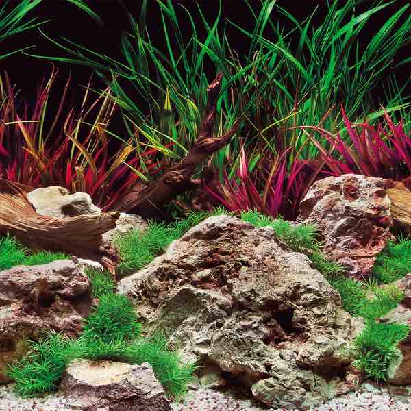 seaview double-sided high definition aquarium background(pack of 5)