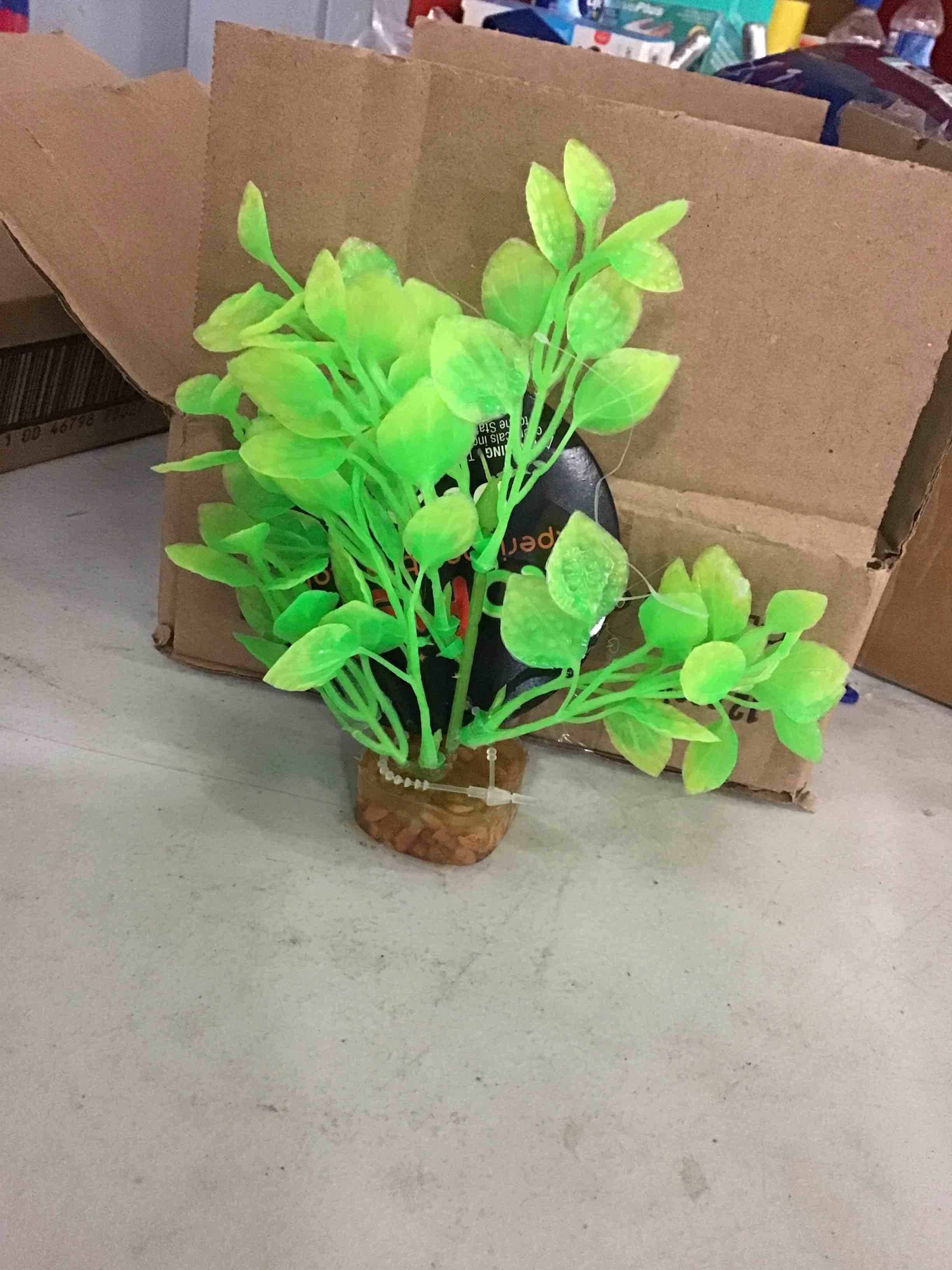 Condition photo showing New/Like New for GloFish 78027 Plant for Fish, Green/Yellow, Medium 12 pieces  (B07DSHN9PS)