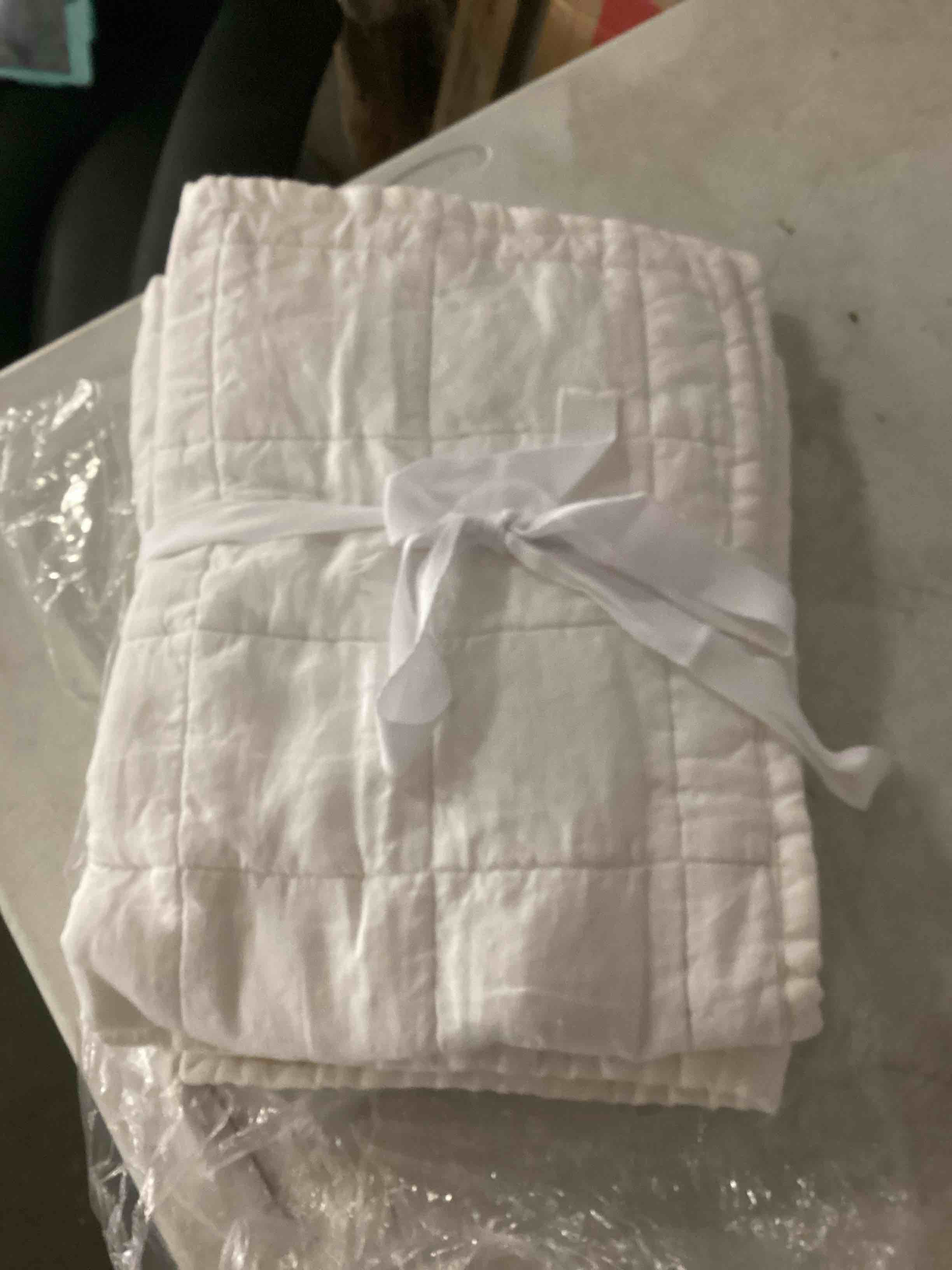 Condition photo showing Good Condition for European Linen Box Quilted Sham Set
