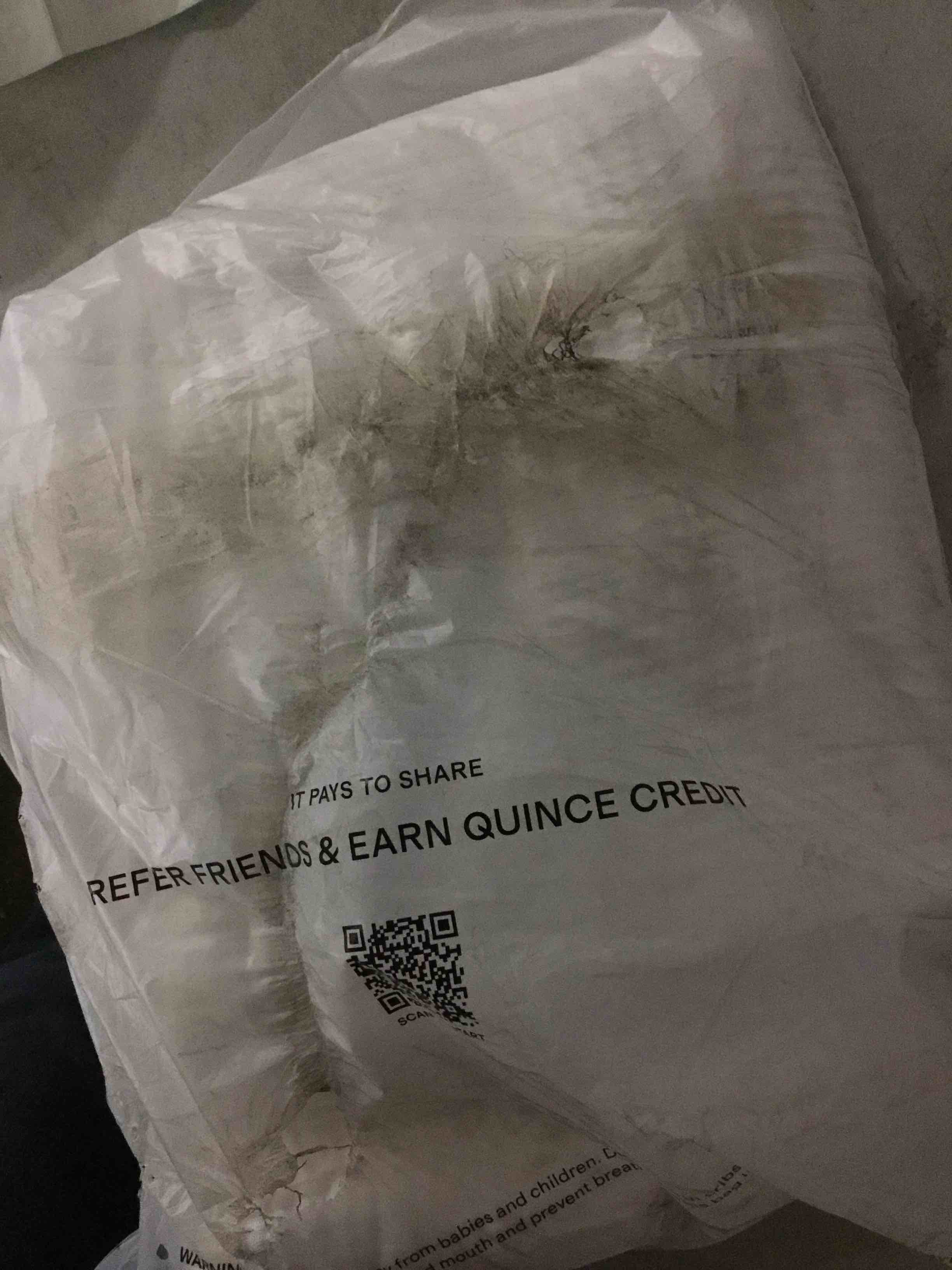 Condition photo showing Good Condition for Organic Airy Gauze Dream shams only, White, King/Cal King