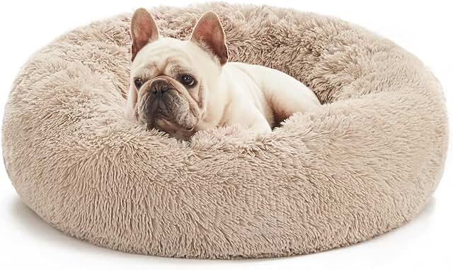 merneuo cat beds for indoor cats 24 inch lion velvet surface dog bed for dogs cute calming dog and cat bed anti anxiety round dog bed (24x22x9.3) whith slip resistant bottom color is camel(they one photo is similar no same)