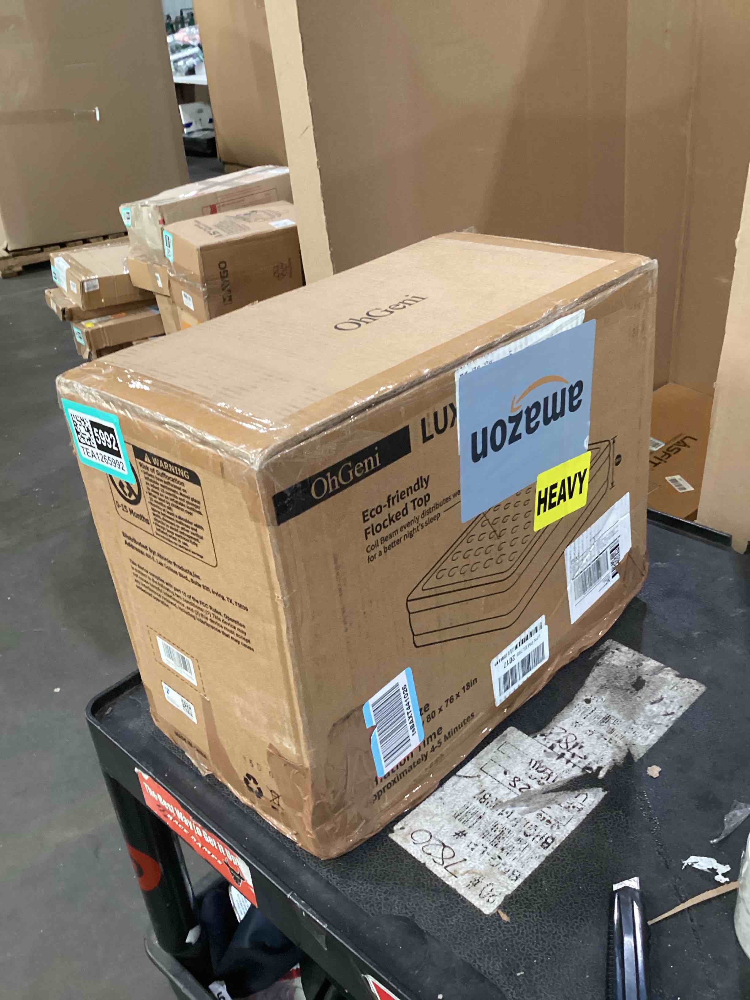 https://s3.amazonaws.com/lotting-images-prod/bidfta/TEA1265992_1756484093053.jpeg