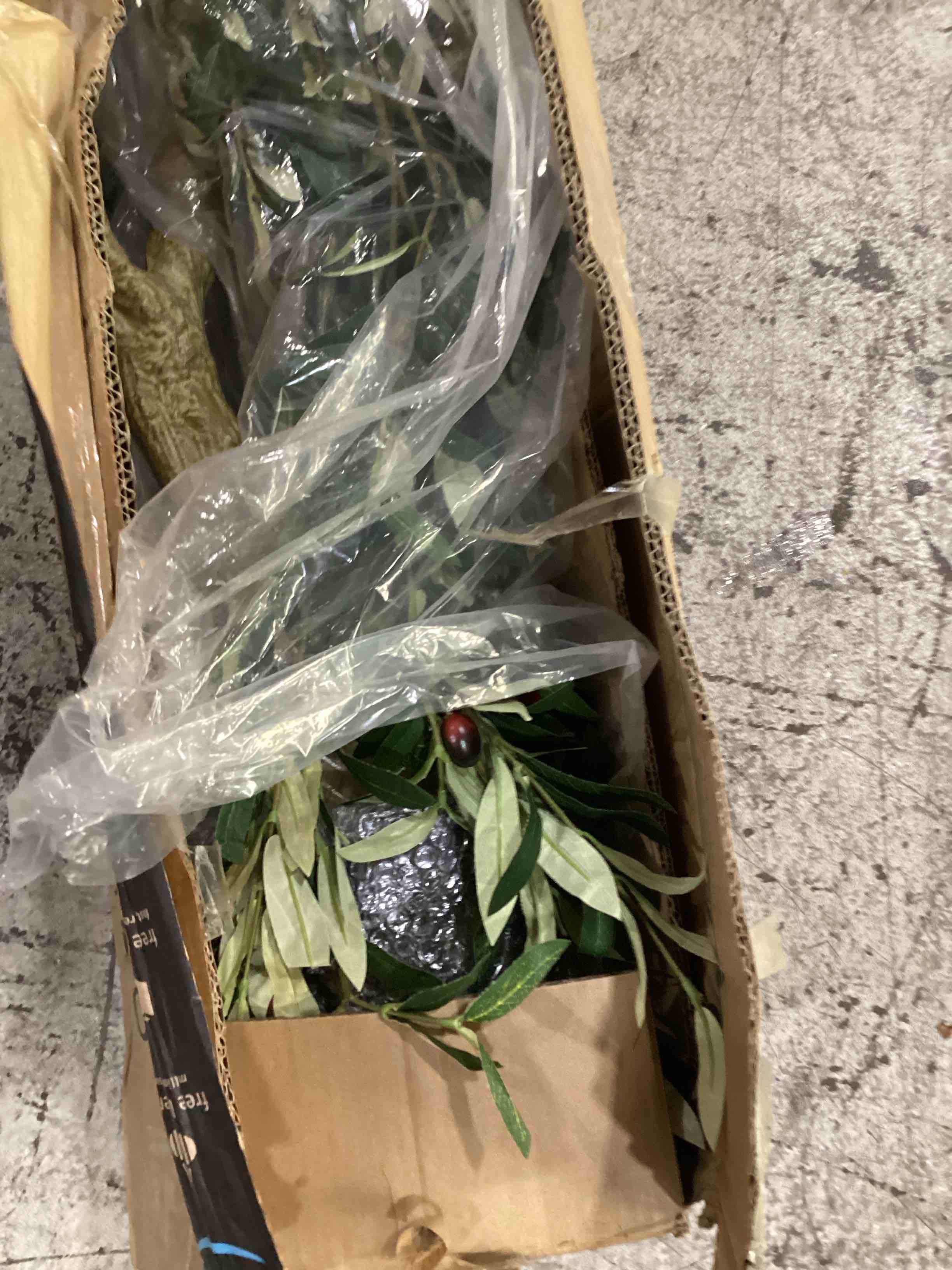 https://s3.amazonaws.com/lotting-images-prod/bidfta/TEA1273017_1752695005440.jpeg