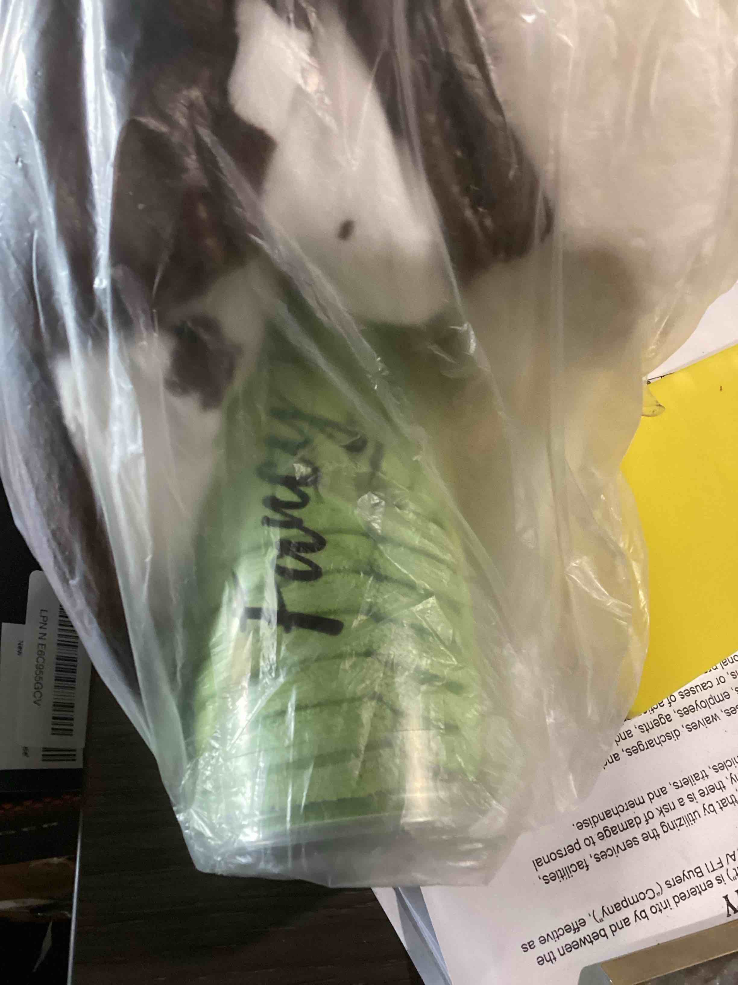 https://s3.amazonaws.com/lotting-images-prod/bidfta/TEA1275964_1783608812866.jpeg