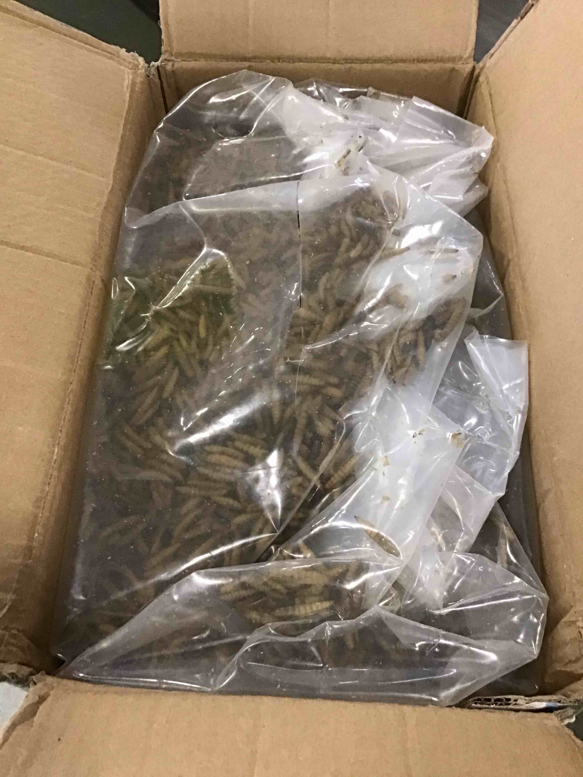 https://s3.amazonaws.com/lotting-images-prod/bidfta/TEA1298452_1741280285039.jpeg