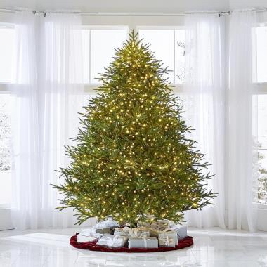 The World's Best Prelit Fraser Fir