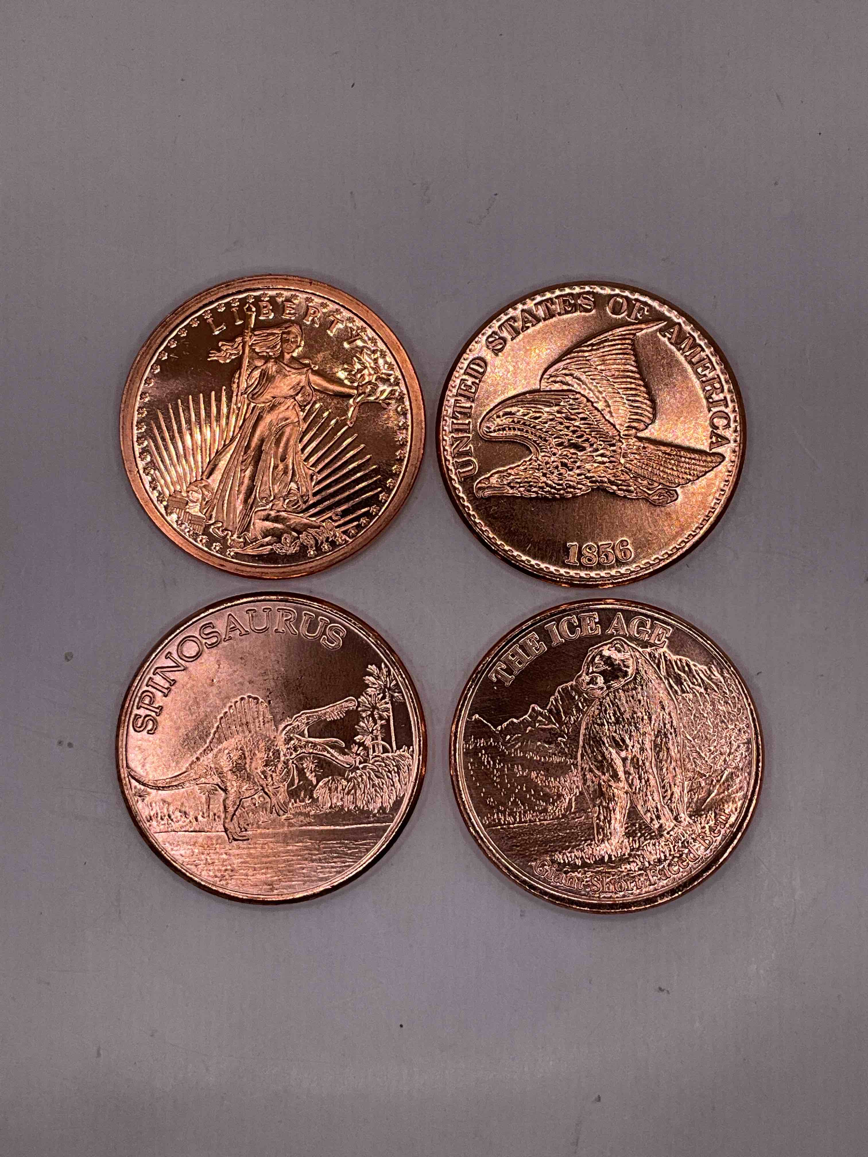 Pure Copper Commemorative Large Coins! One Ounce Pure Copper Commemorative Coin, Brand New In Excellent Condition. 1.5" Diameter. Pure Copper! Four Really Cool Mint Styles, Lady Liberty, Spinosaurus, Ice Age & Walking Liberty. Makes For An Awesome Gift & Investment!