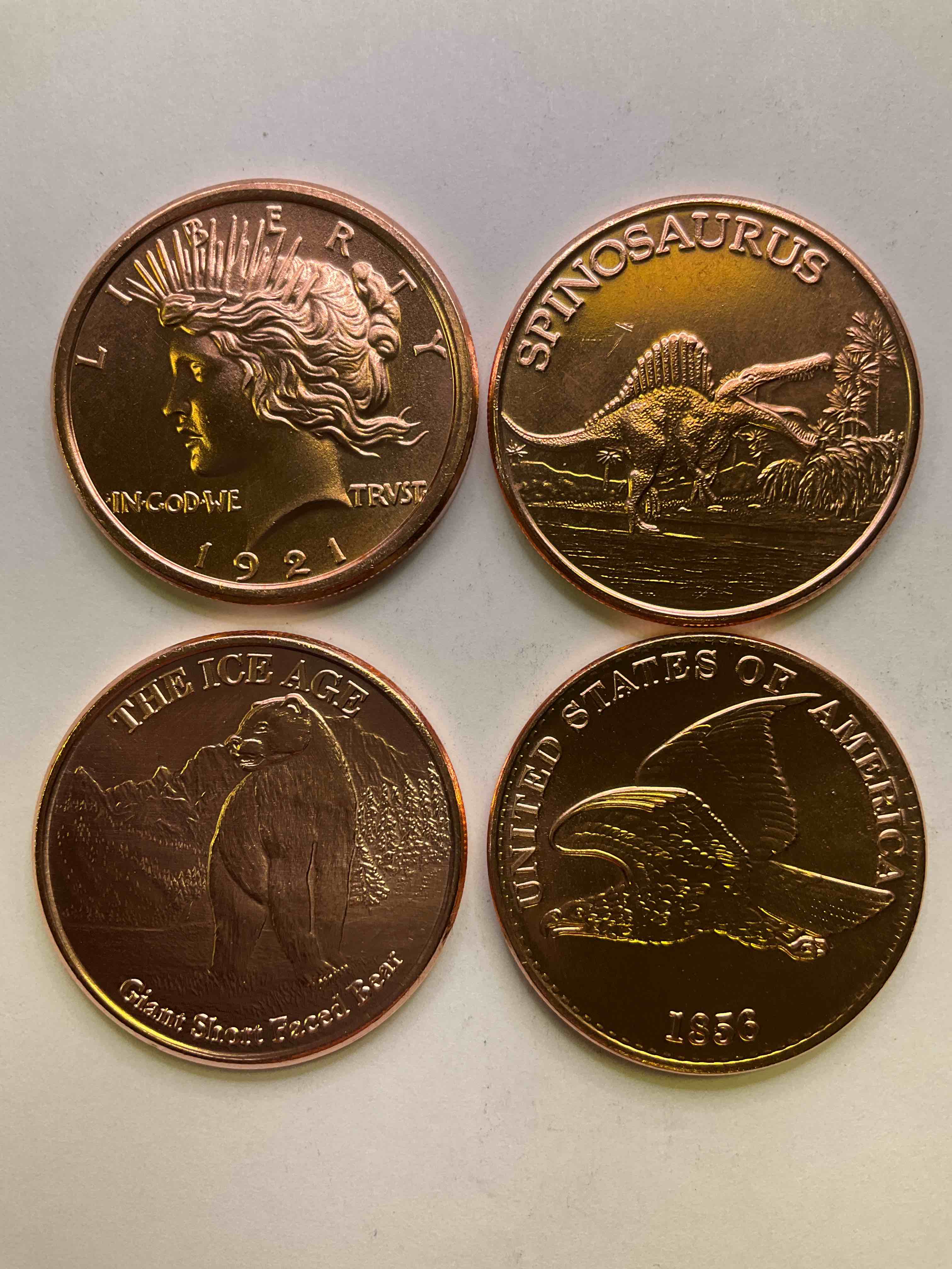 Pure Copper Commemorative Large Coins! One Ounce Pure Copper Commemorative Coin, Brand New In Excellent Condition. 1.5" Diameter. Pure Copper! Four Really Cool Mint Styles, Lady Liberty, Spinosaurus, Ice Age & Flying Eagle. Makes For An Awesome Gift & Investment!