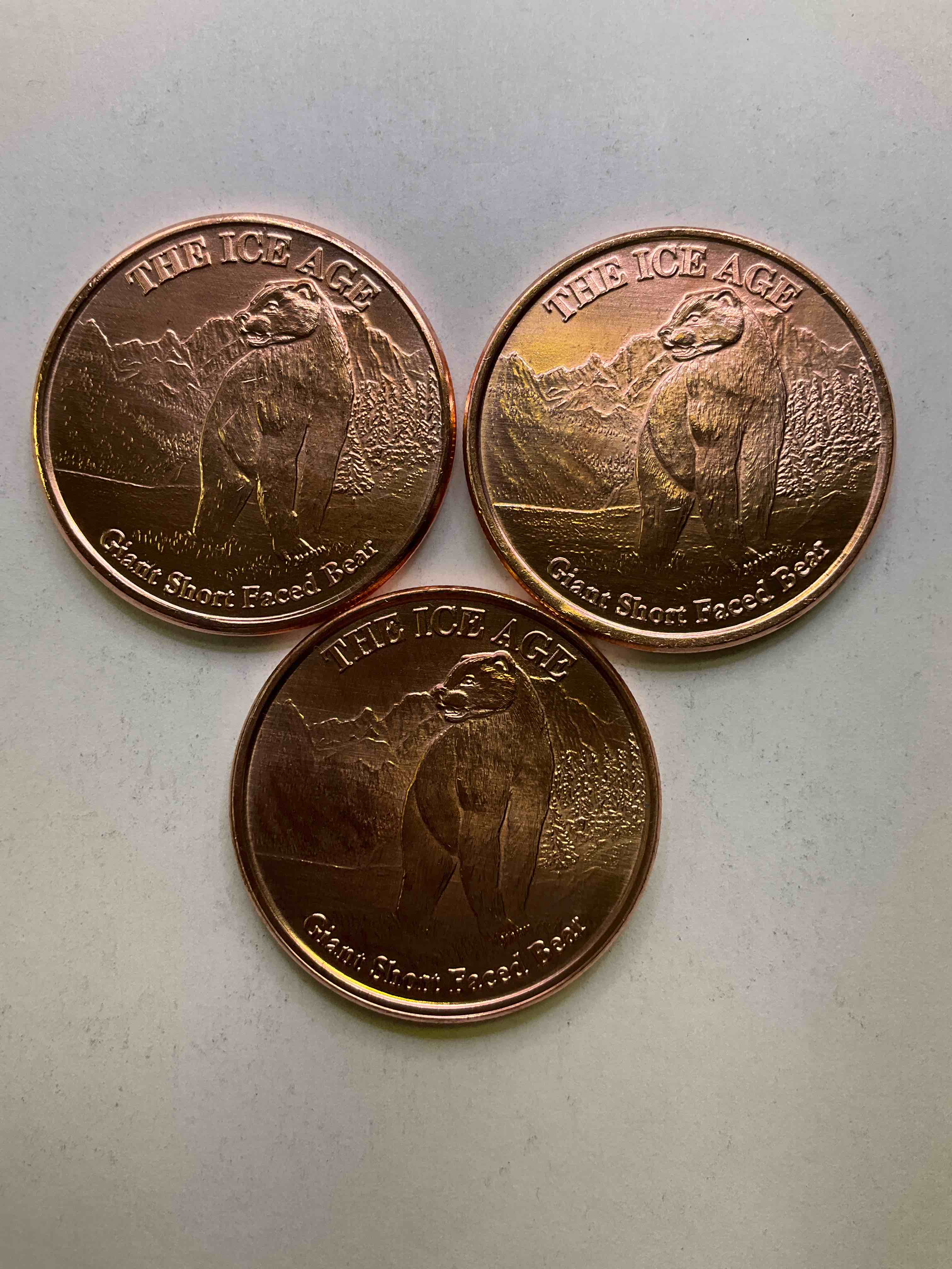 Pure Copper Commemorative Large Coins! One Ounce Pure Copper Commemorative Coin, Brand New In Excellent Condition. 1.5" Diameter. Pure Copper! Ice Age Style. Makes For An Awesome Gift & Investment!