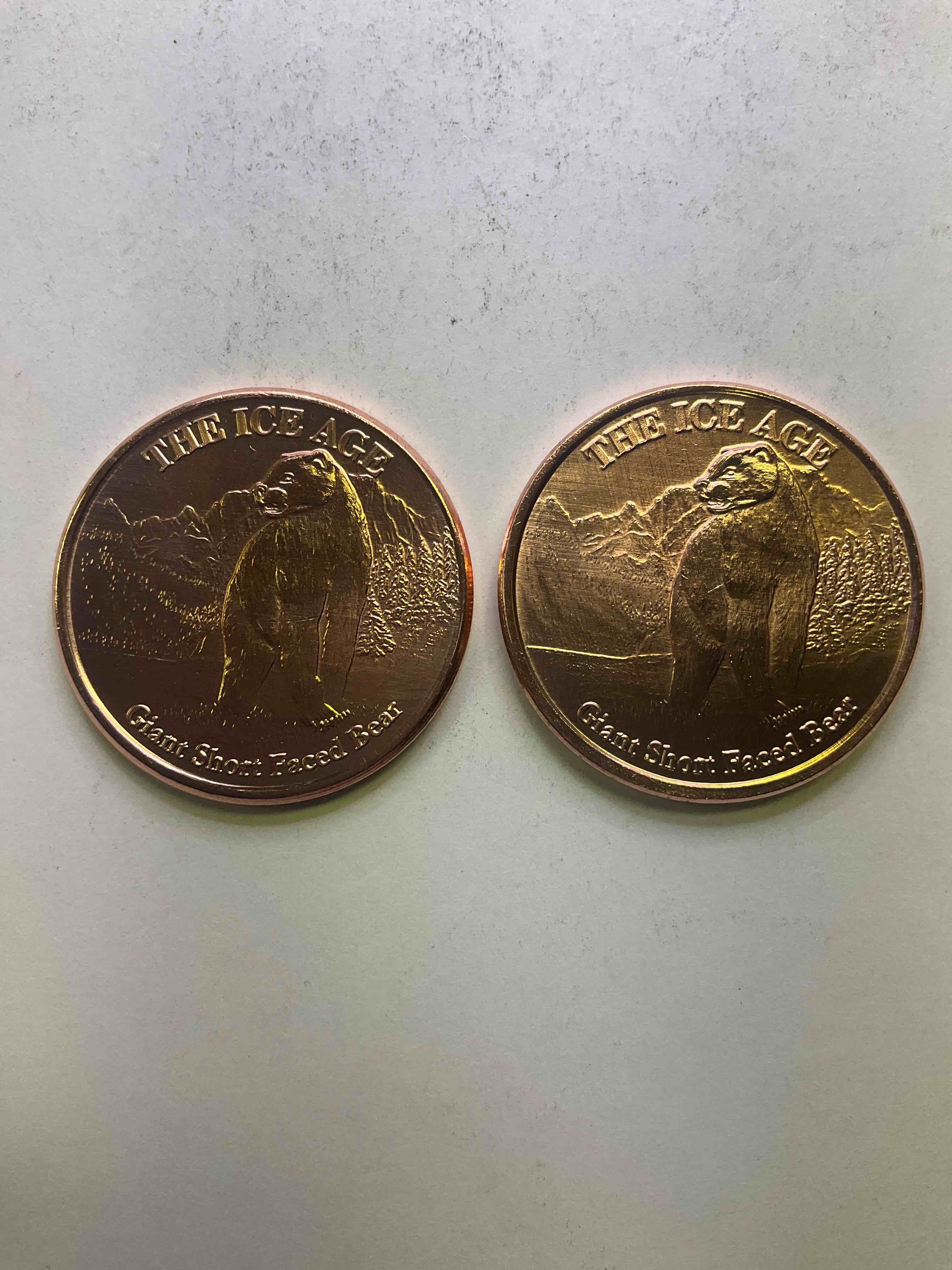 Pure Copper Commemorative Large Coins! One Ounce Pure Copper Commemorative Coin, Brand New In Excellent Condition. 1.5" Diameter. Pure Copper! Ice Age Style. Makes For An Awesome Gift & Investment!