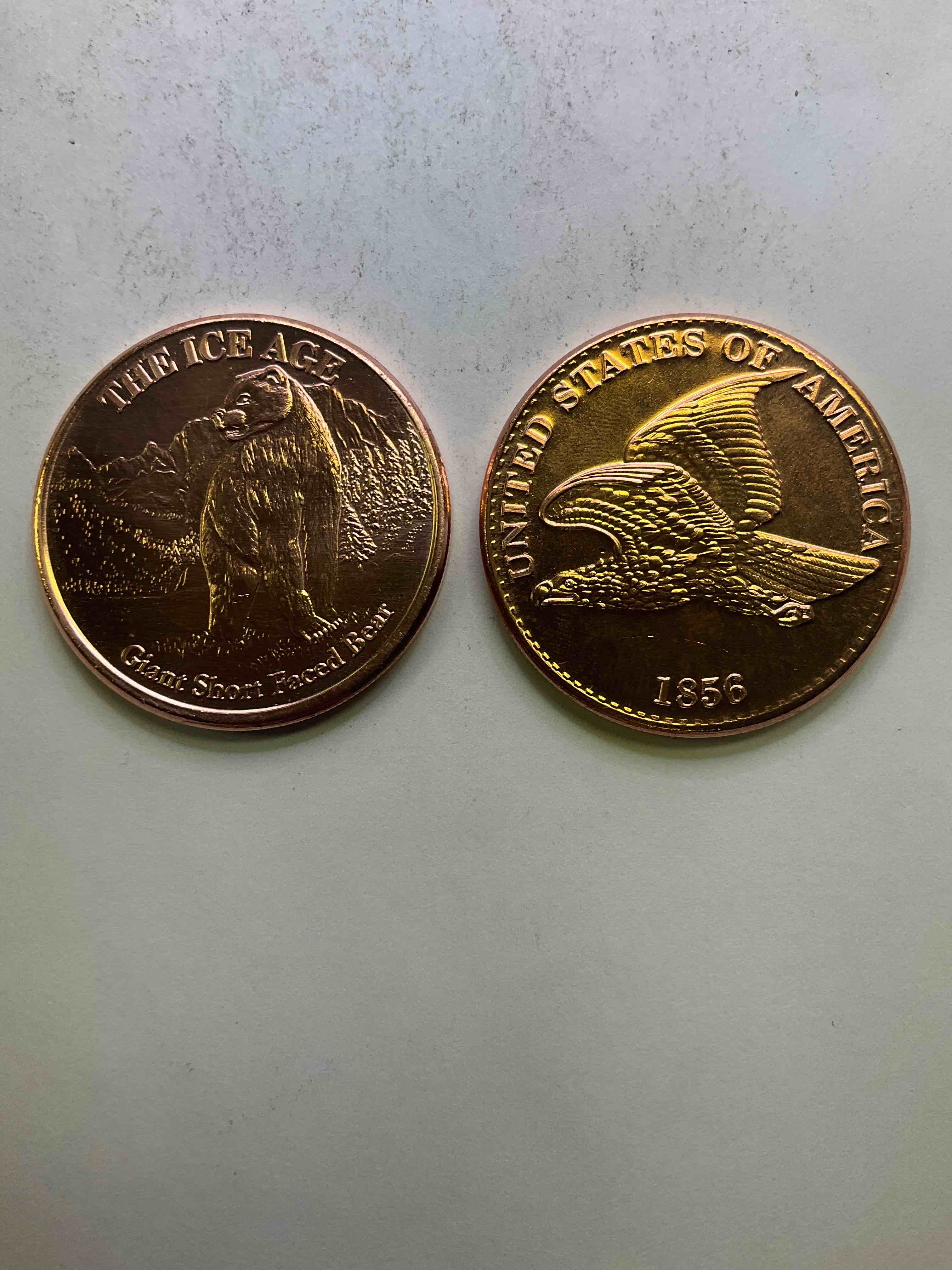 Pure Copper Commemorative Large Coins! One Ounce Pure Copper Commemorative Coin, Brand New In Excellent Condition. 1.5" Diameter. Pure Copper! Flying Eagle & Ice Age Style. Makes For An Awesome Gift & Investment!