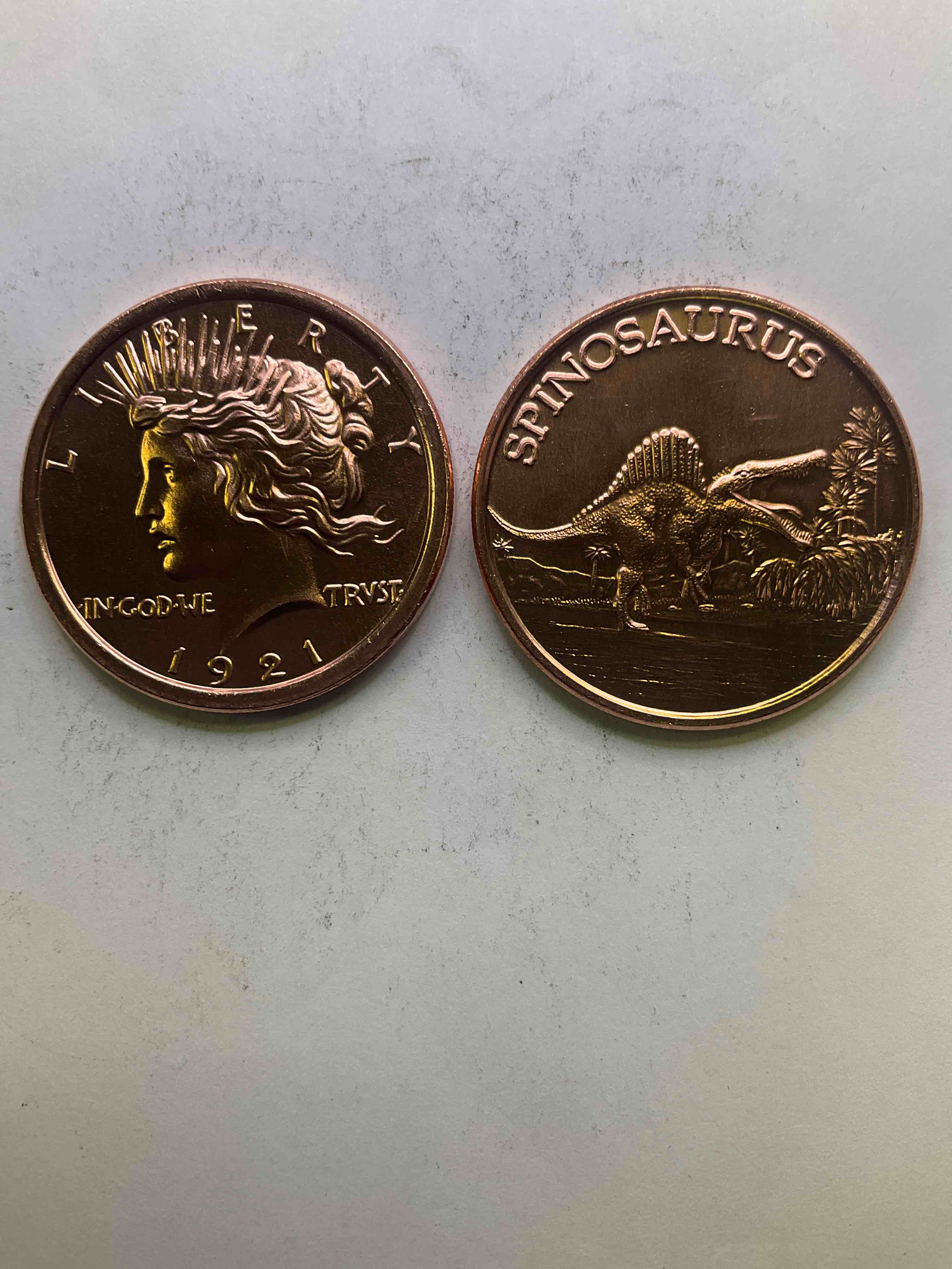 Pure Copper Commemorative Large Coins! One Ounce Pure Copper Commemorative Coin, Brand New In Excellent Condition. 1.5" Diameter. Pure Copper! Spinosaurus & Mercury Head Style. Makes For An Awesome Gift & Investment!