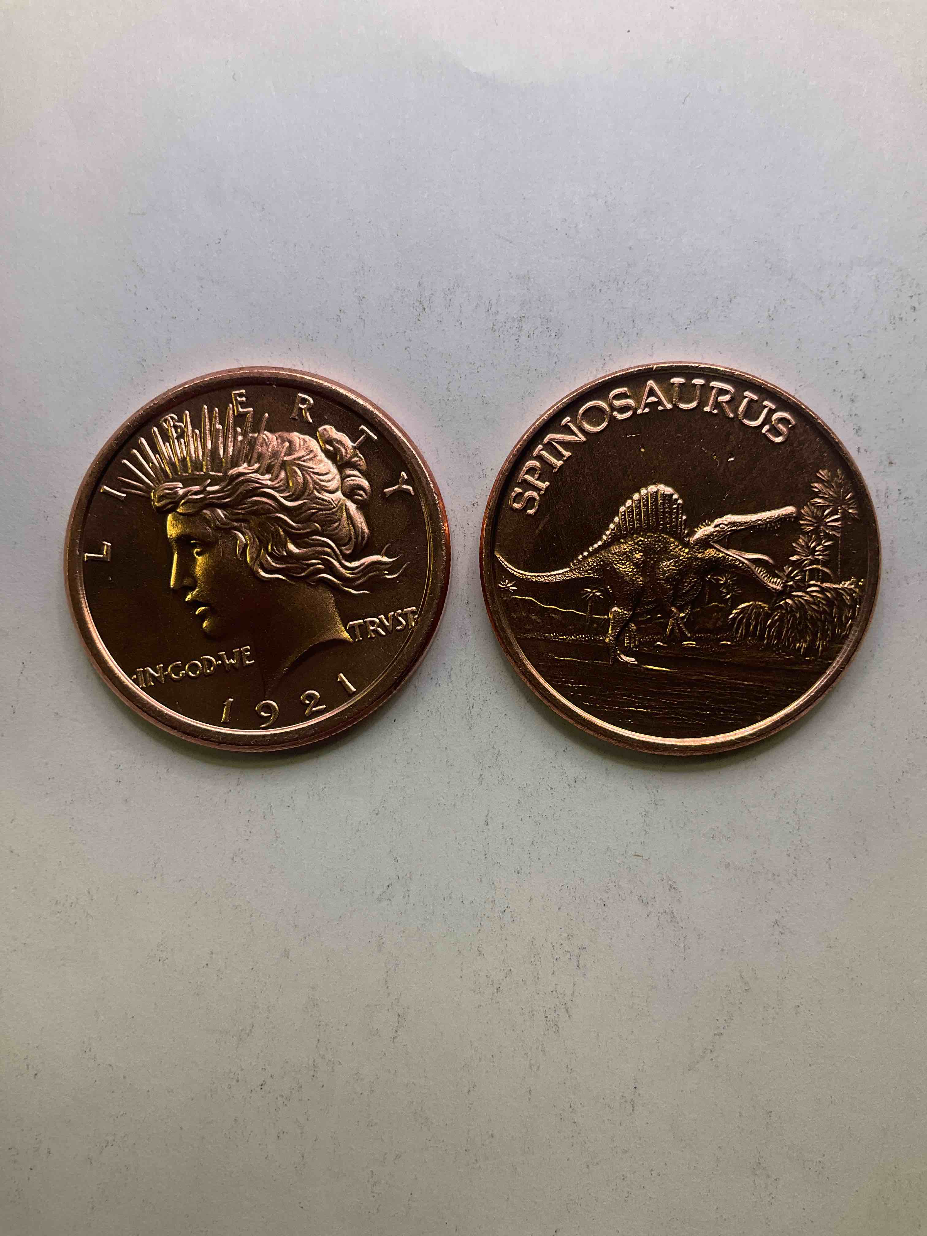 Pure Copper Commemorative Large Coins! One Ounce Pure Copper Commemorative Coin, Brand New In Excellent Condition. 1.5" Diameter. Pure Copper! Spinosaurus & Mercury Head Style. Makes For An Awesome Gift & Investment!