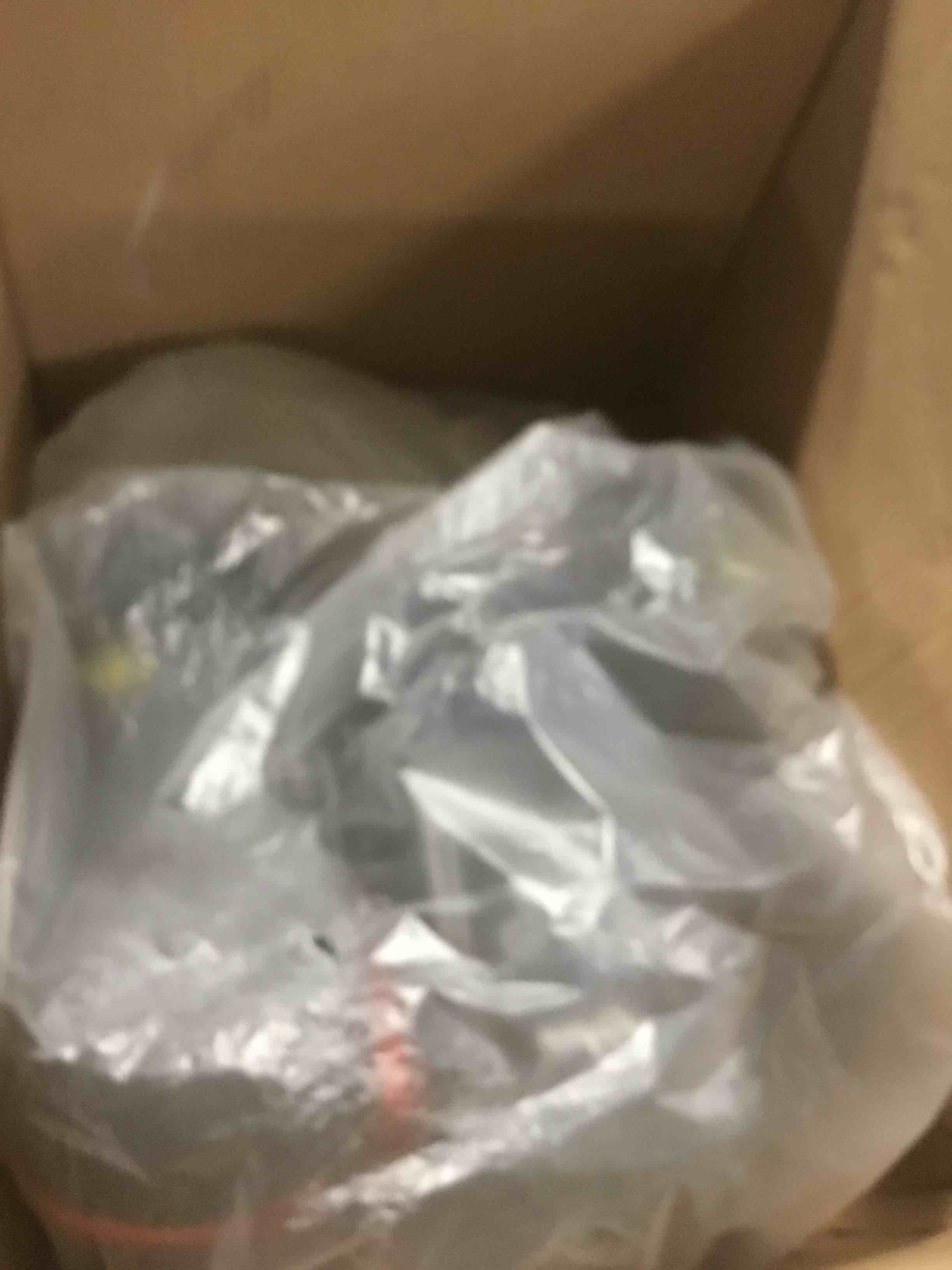 https://s3.amazonaws.com/lotting-images-prod/bidfta/TEA1377989_1741272723264.jpeg