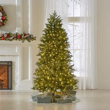 The World's Best Prelit Concolor Fir, Height Unknown, Green