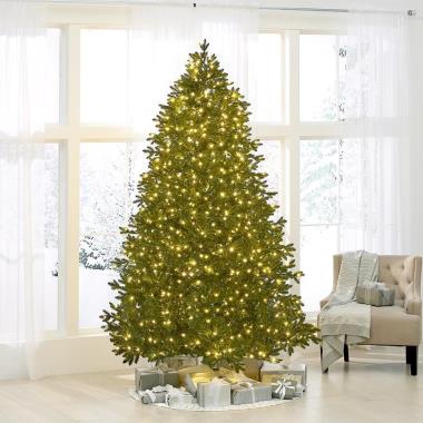 The World's Best Prelit Noble Fir (8.5' Medium)