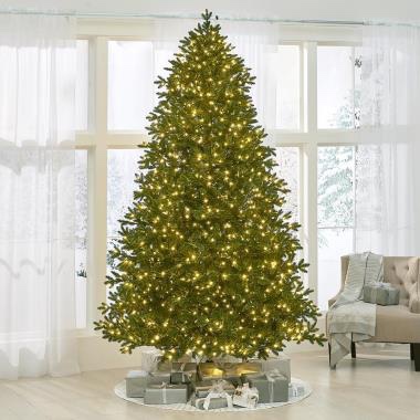 The World's Best Prelit LED Noble Fir