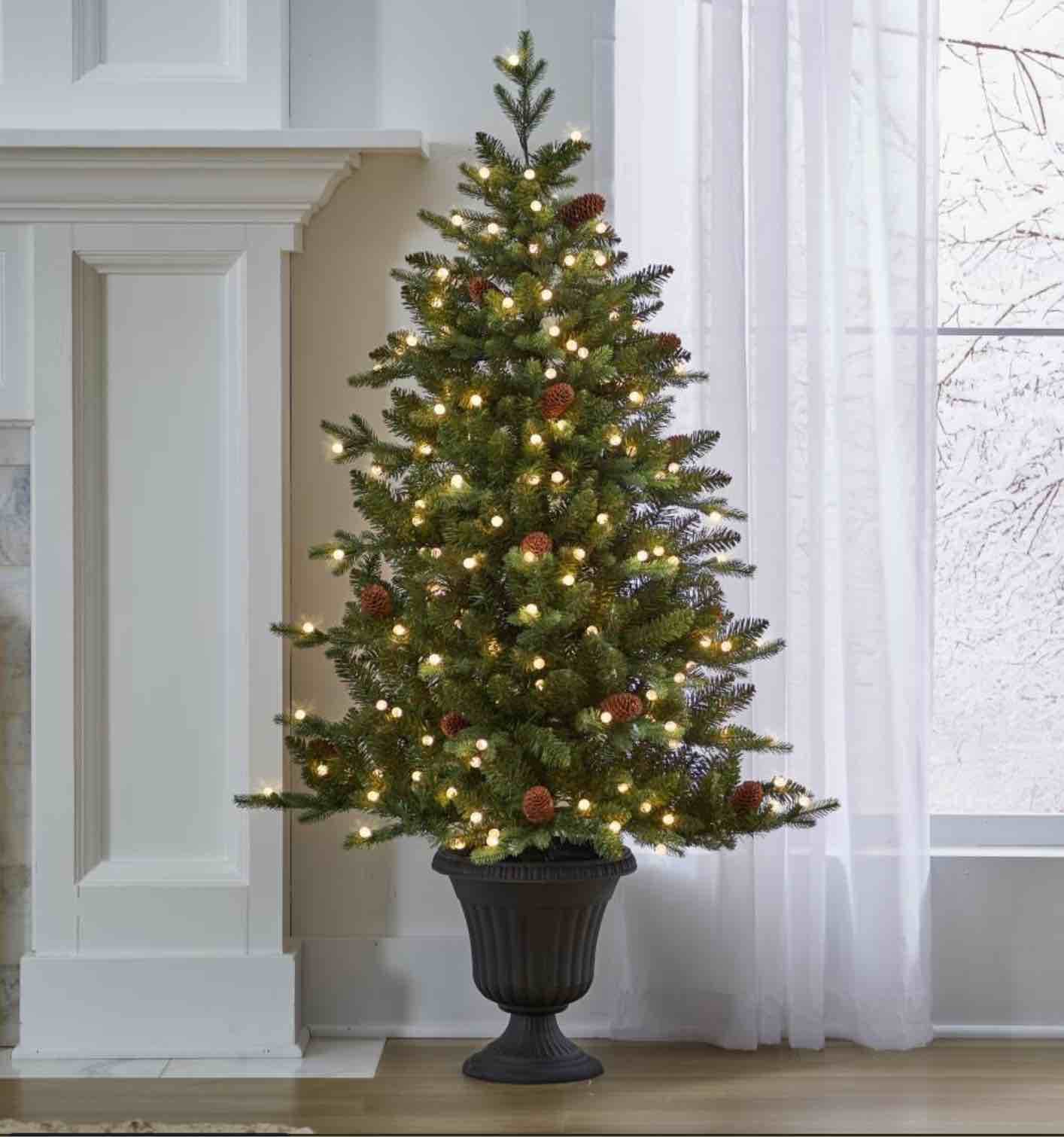 the potted 5' prelit pinecone spruce