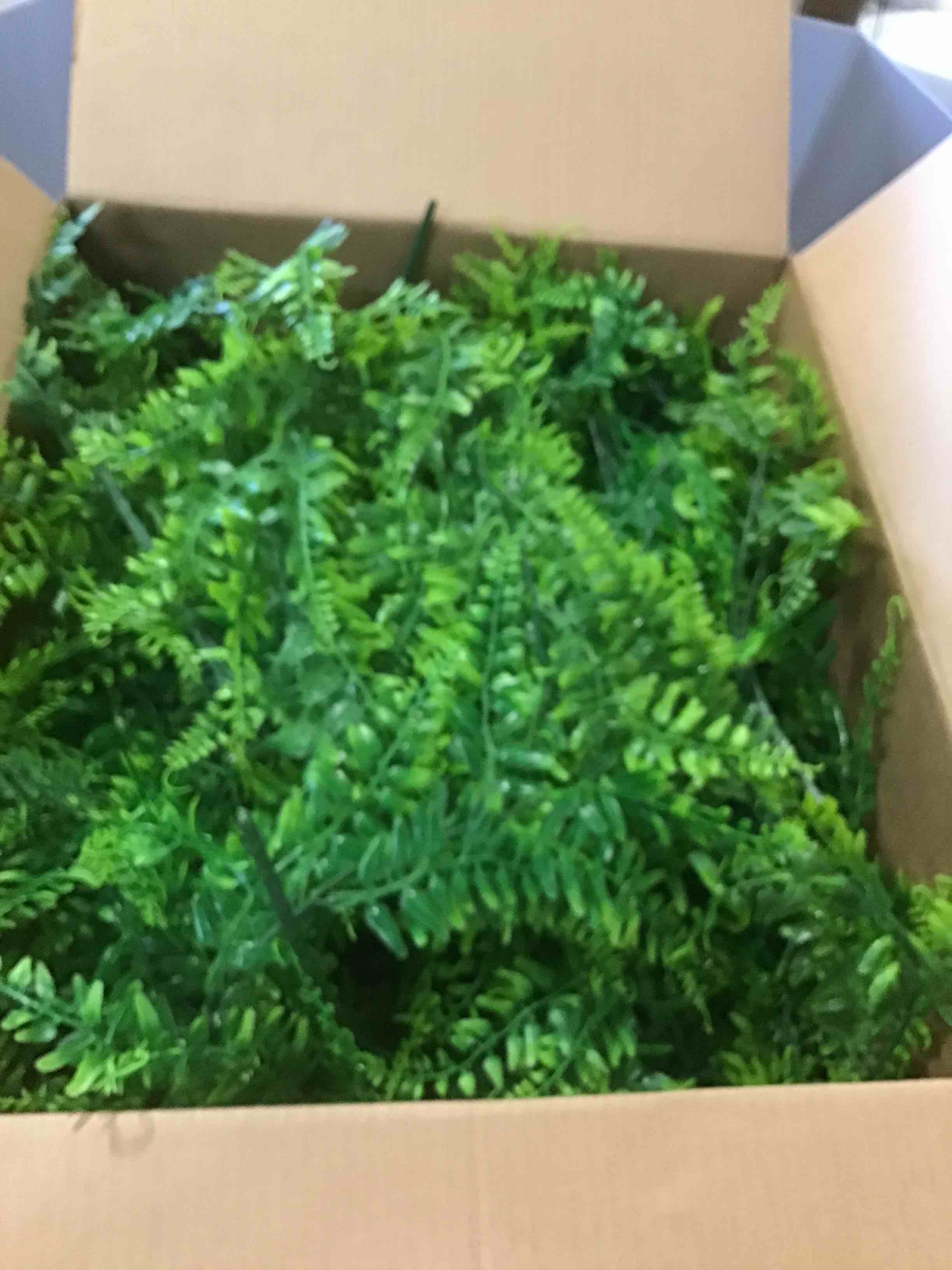 https://s3.amazonaws.com/lotting-images-prod/bidfta/TEA1415118_1745870396812.jpeg