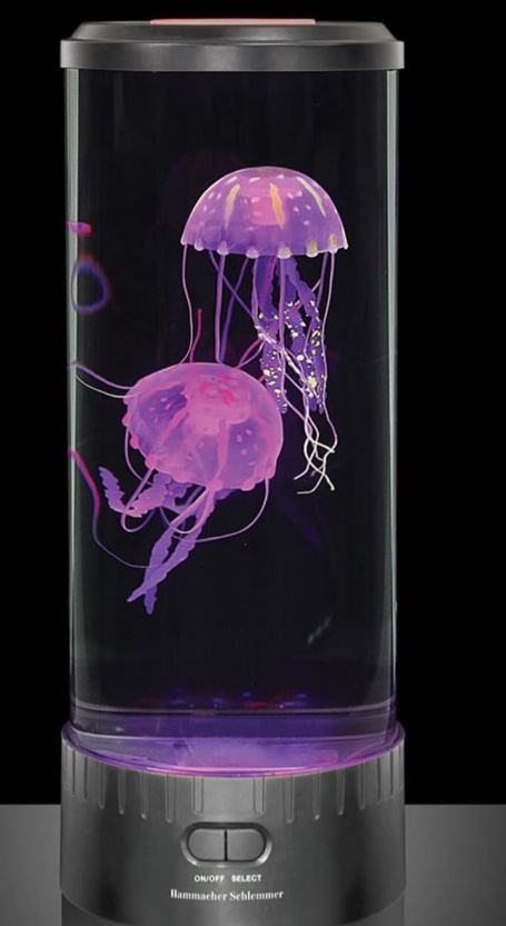 The Best Jellyfish Aquarium