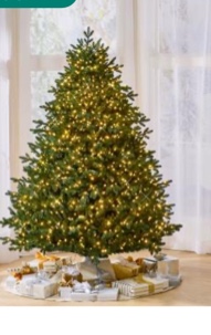 the world's best prelit balsam fir