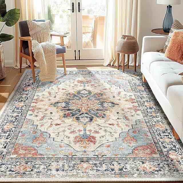Area Rug 4x6 Living Room Rugs Boho Rugs for Living Room 4x6 Area Rugs for Bedroom Machine Washable Area Rugs