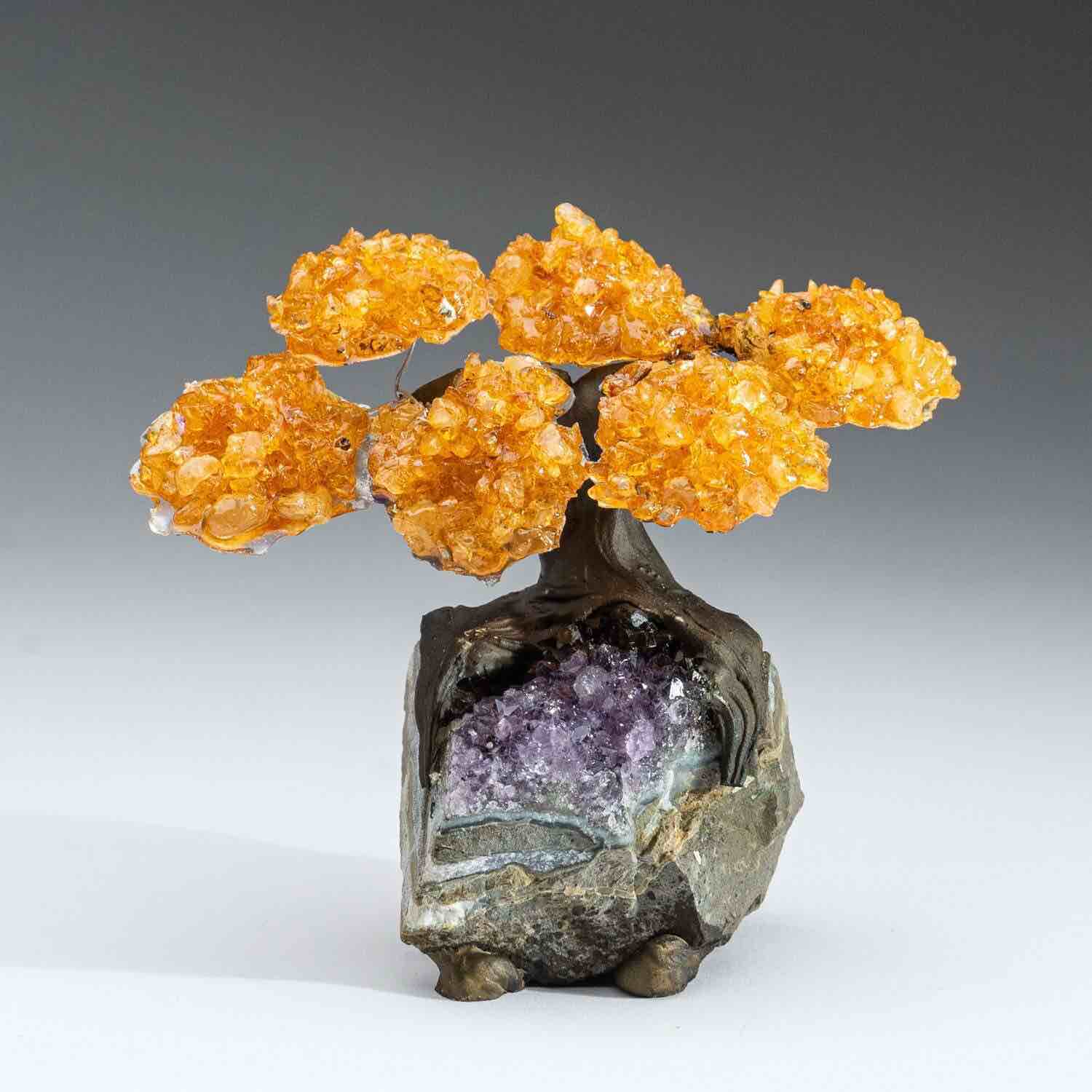 Citrine Clustered Gemstone Tree on Amethyst Matrix (The Money Tree)