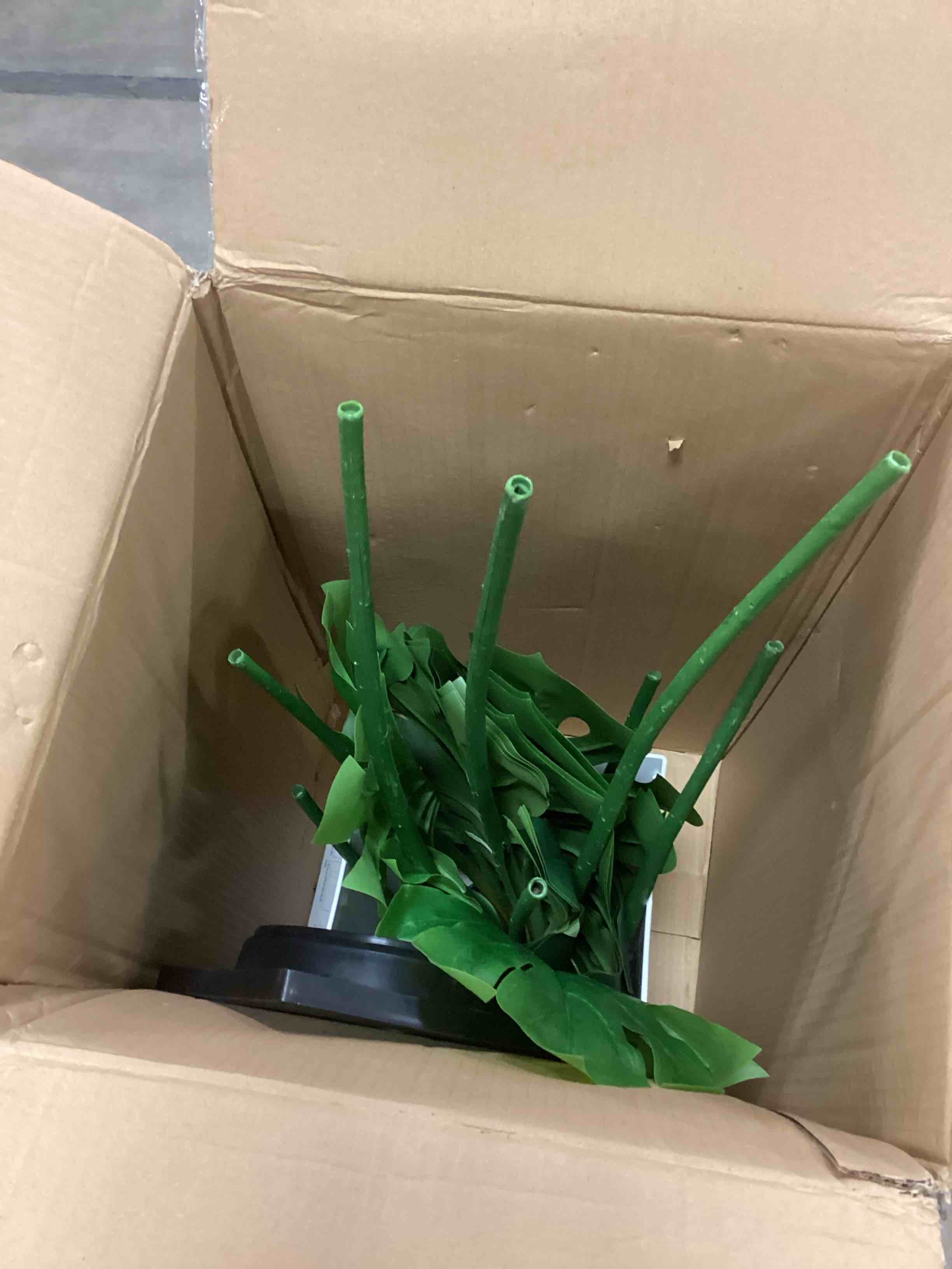 https://s3.amazonaws.com/lotting-images-prod/bidfta/TEA1437169_1740063362936.jpeg