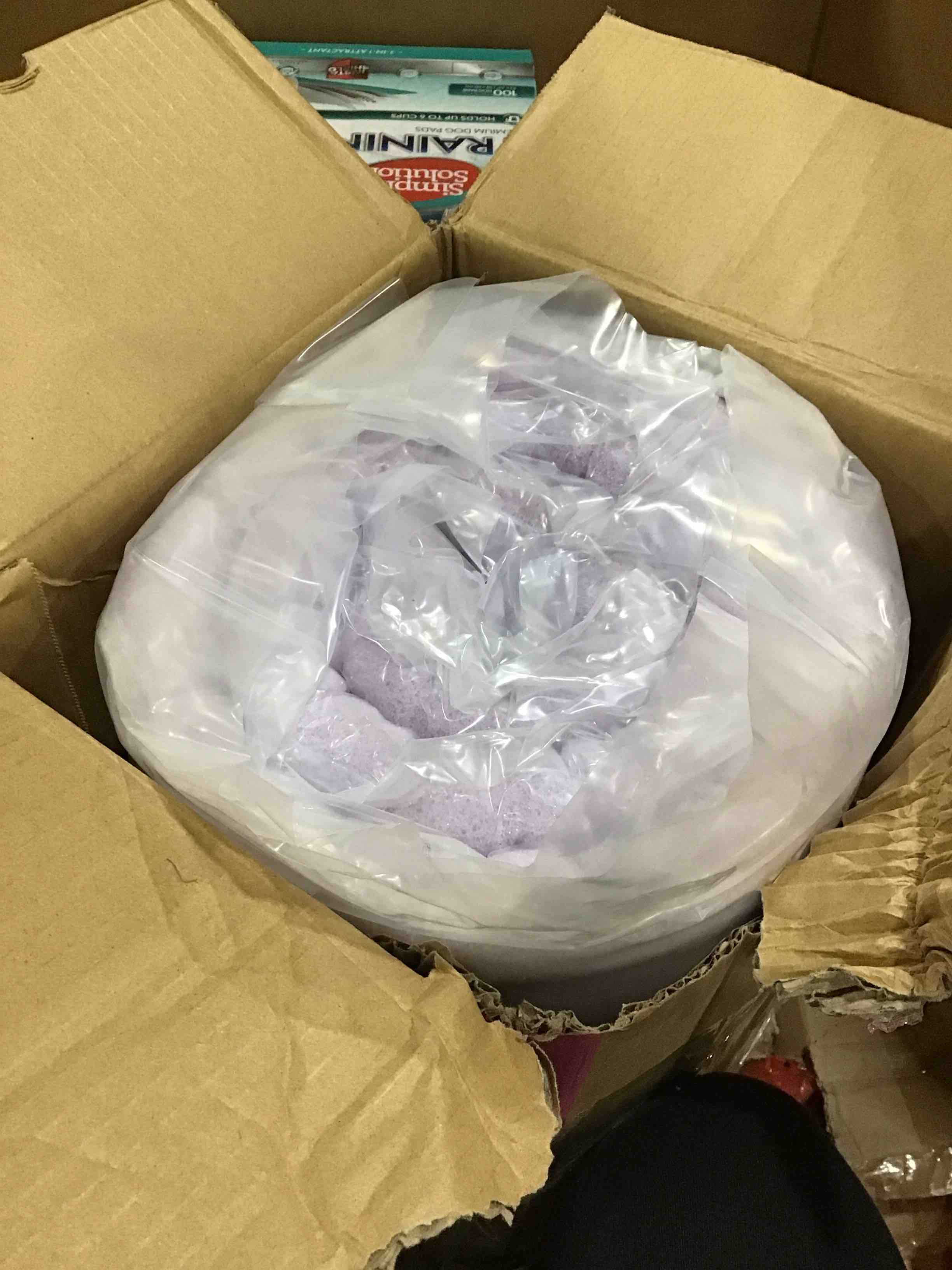https://s3.amazonaws.com/lotting-images-prod/bidfta/TEA1470491_1745942988156.jpeg