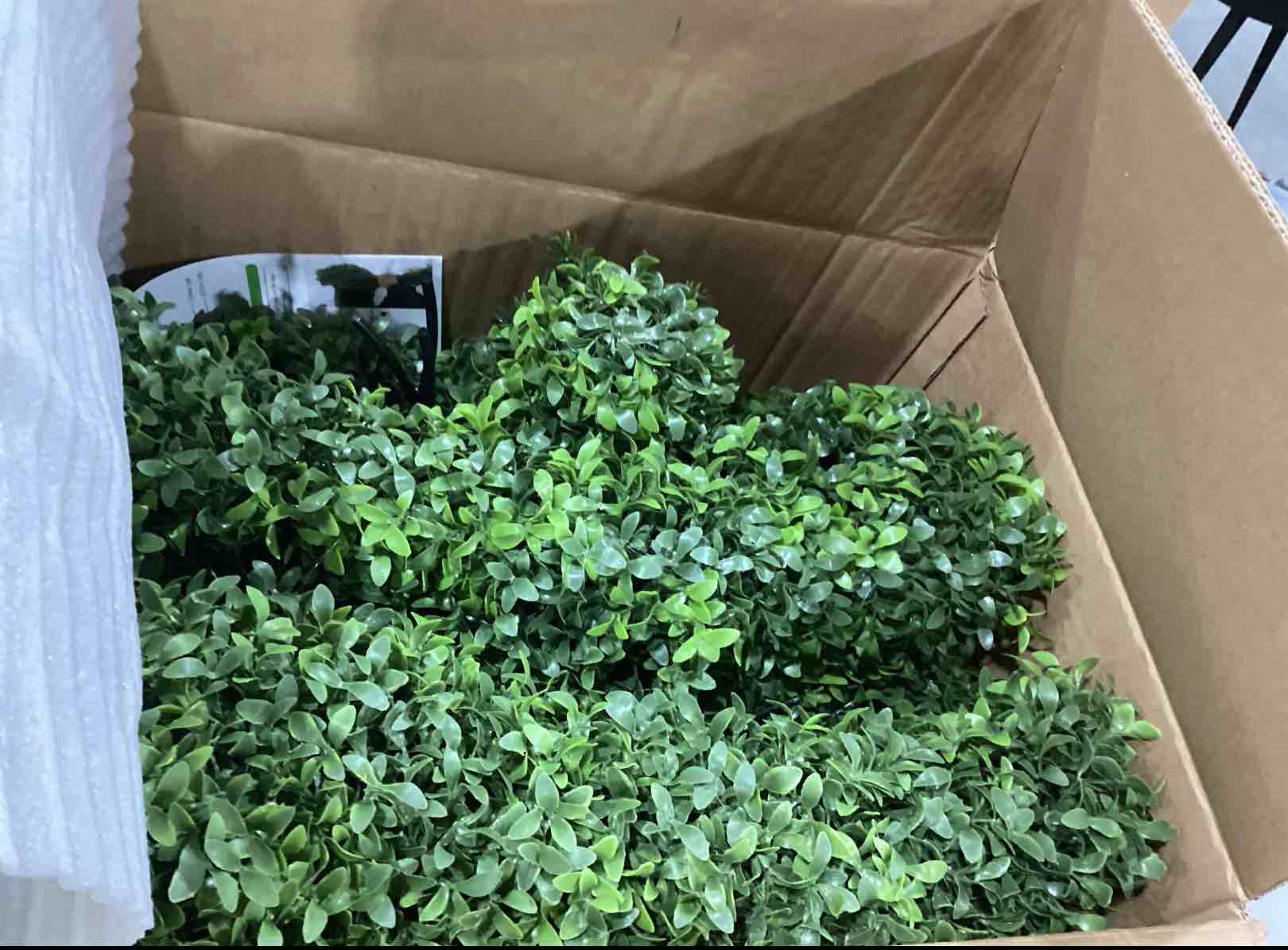 https://s3.amazonaws.com/lotting-images-prod/bidfta/TEA1475573_1750681390137.jpeg
