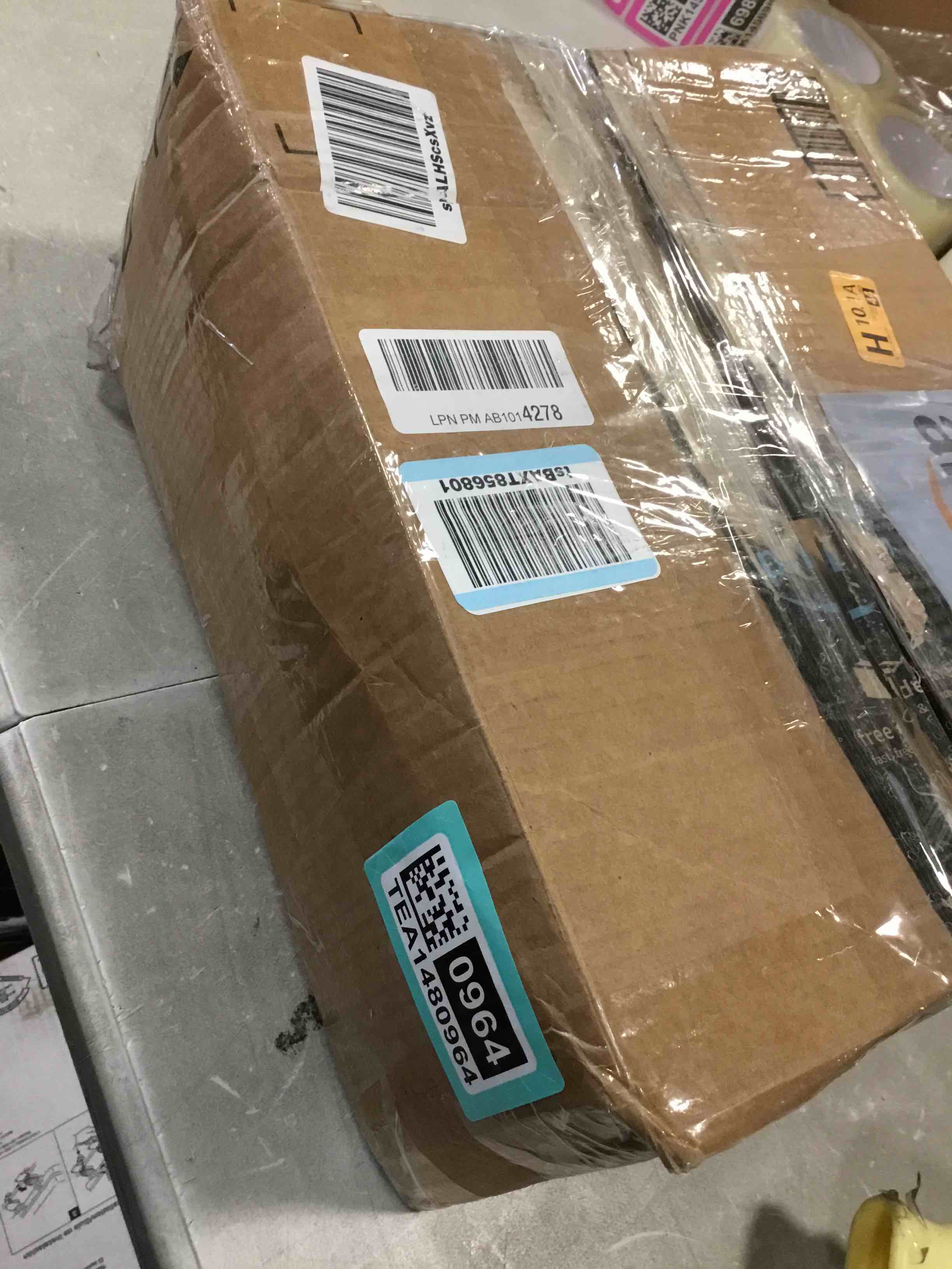 https://s3.amazonaws.com/lotting-images-prod/bidfta/TEA1480964_1733513273745.jpeg