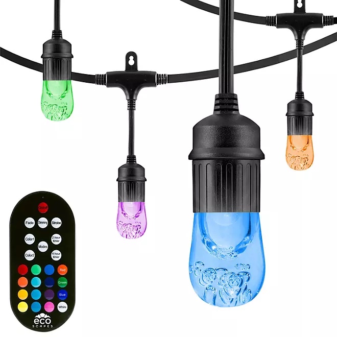 EcoScapes 24 LED Color-Changing Caf String Lights 12 bulbs