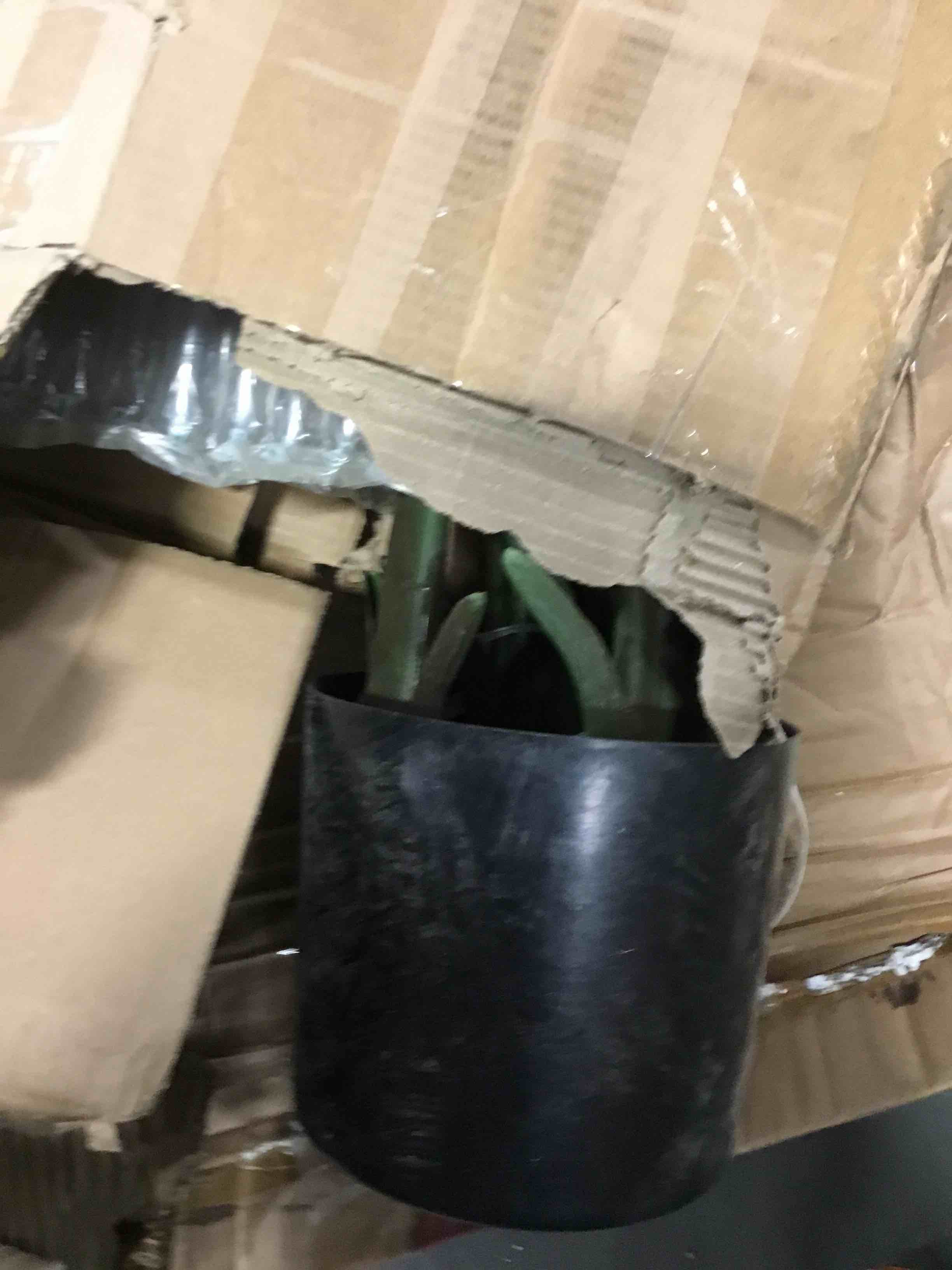 https://s3.amazonaws.com/lotting-images-prod/bidfta/TEA1492145_1733773445108.jpeg
