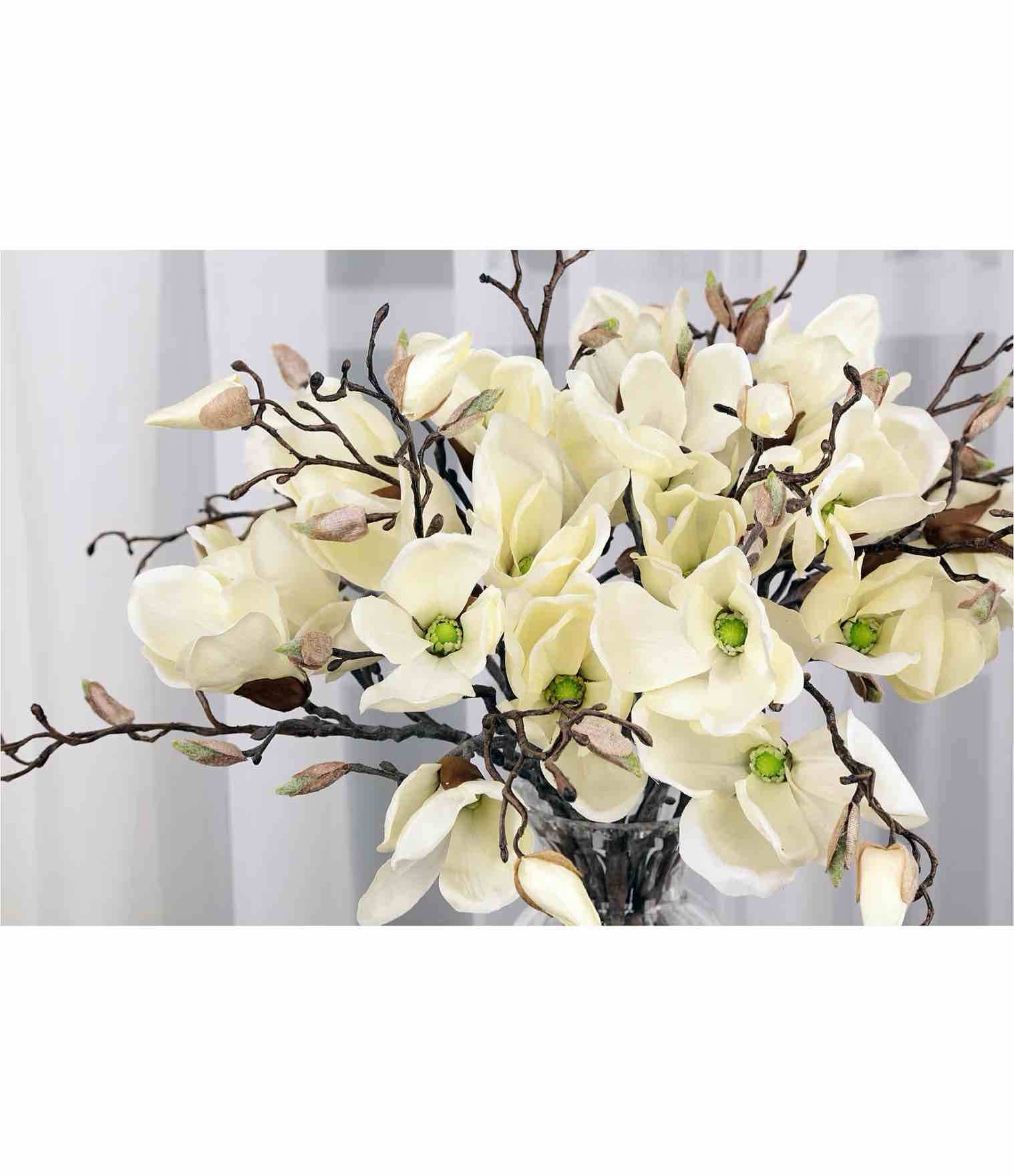 Magnolia - 20 Inches Box of 12