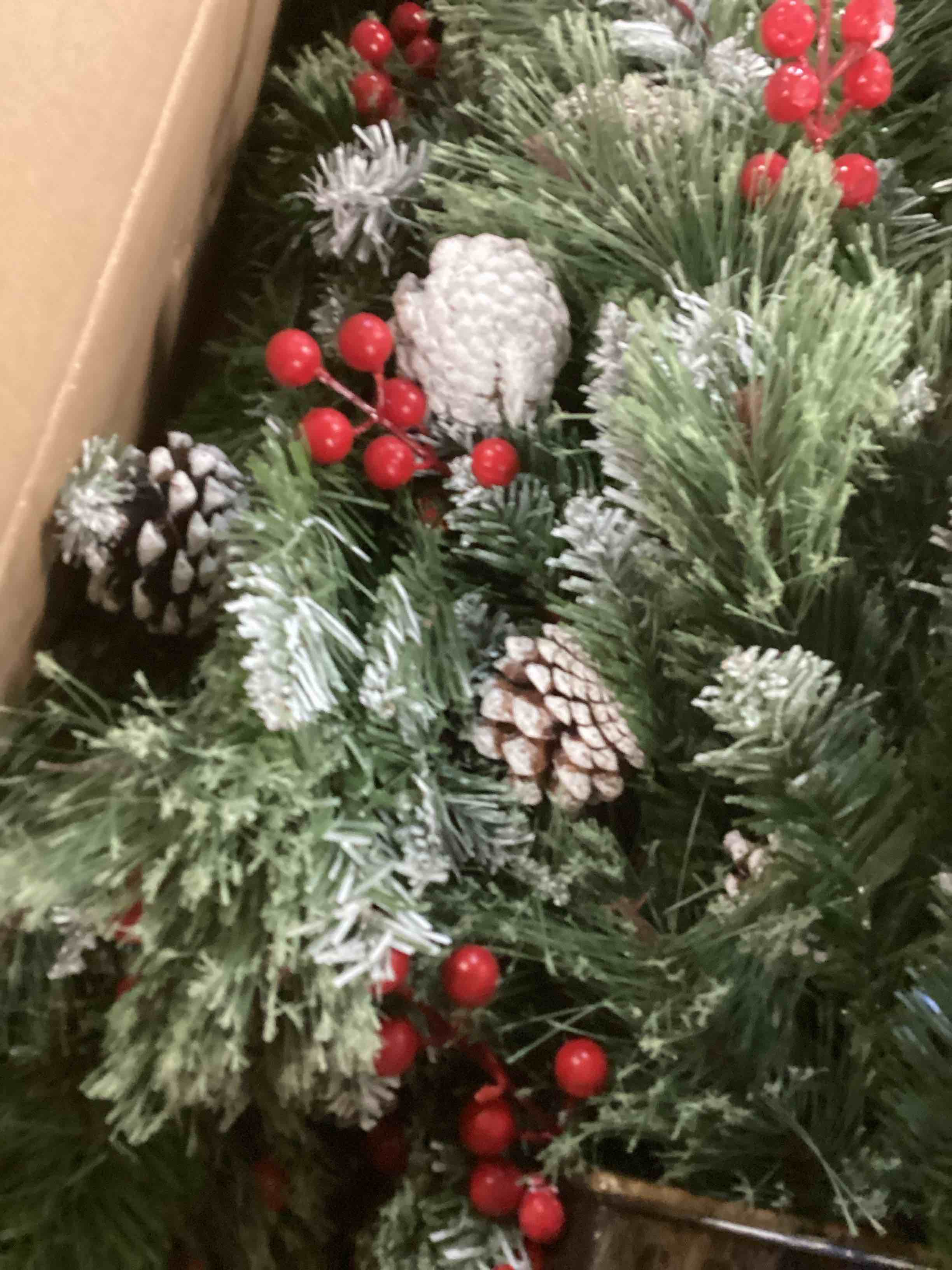 https://s3.amazonaws.com/lotting-images-prod/bidfta/TEA1495167_1733418175747.jpeg