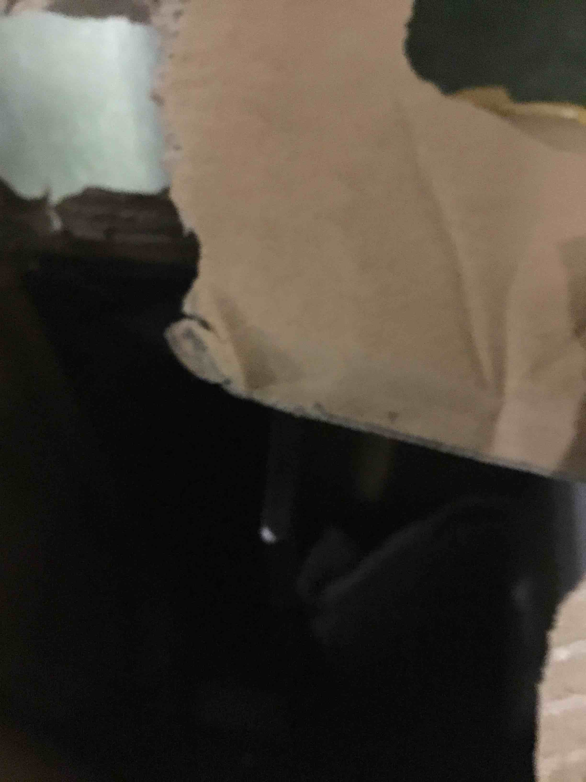 https://s3.amazonaws.com/lotting-images-prod/bidfta/TEA1499135_1733870684193.jpeg