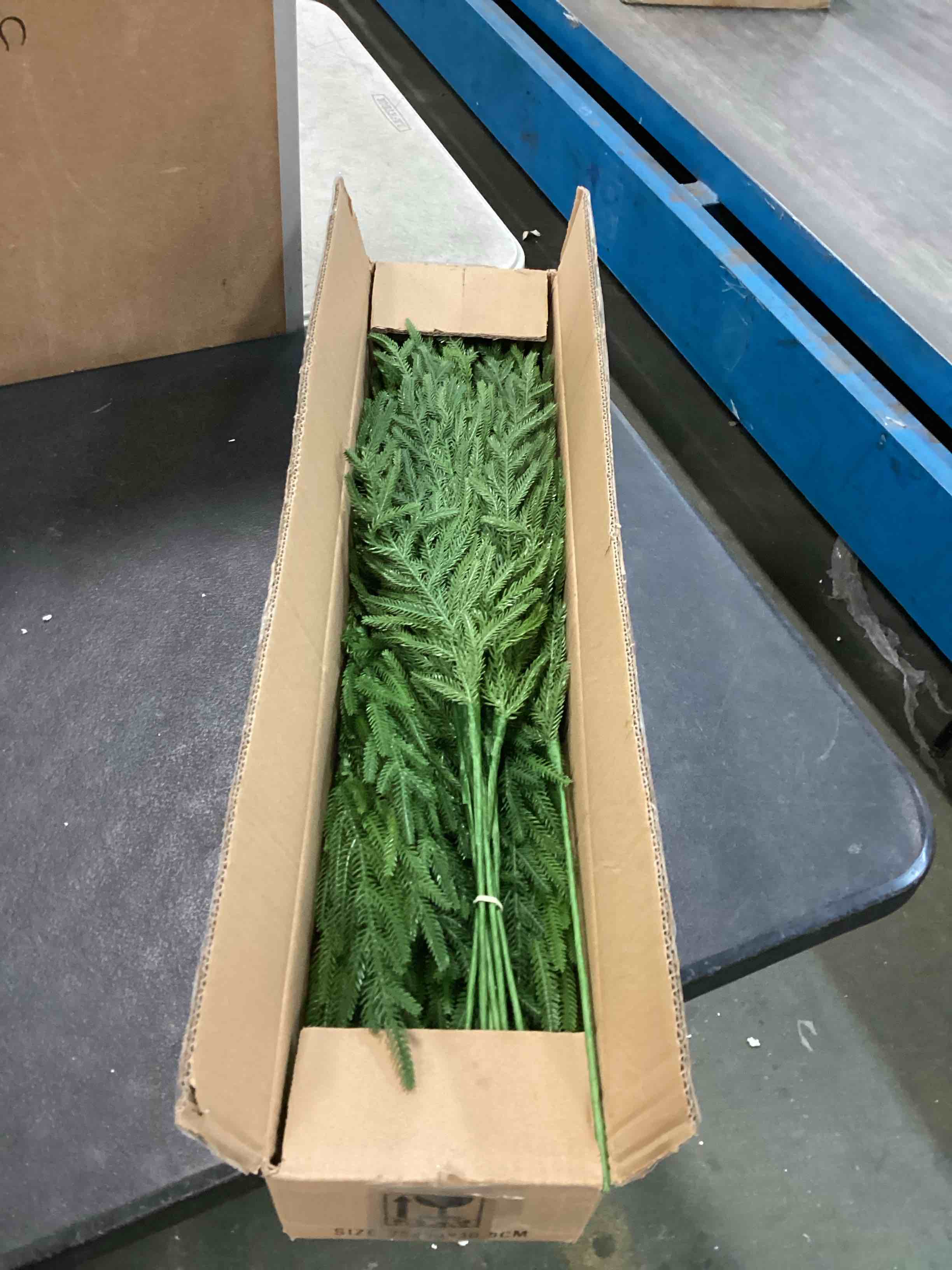 https://s3.amazonaws.com/lotting-images-prod/bidfta/TEA1502601_1734561477273.jpeg