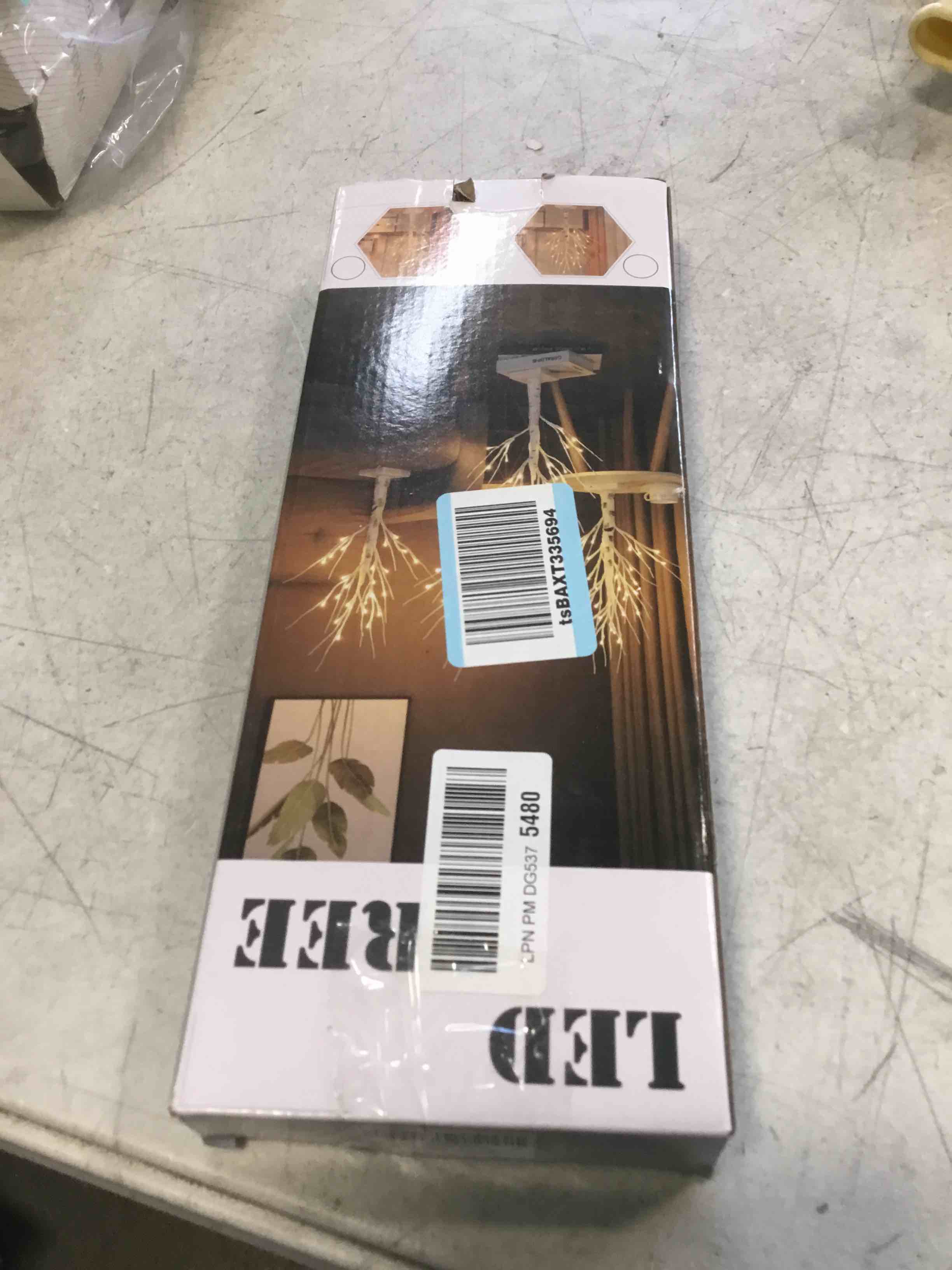 https://s3.amazonaws.com/lotting-images-prod/bidfta/TEA1508747_1737138687124.jpeg