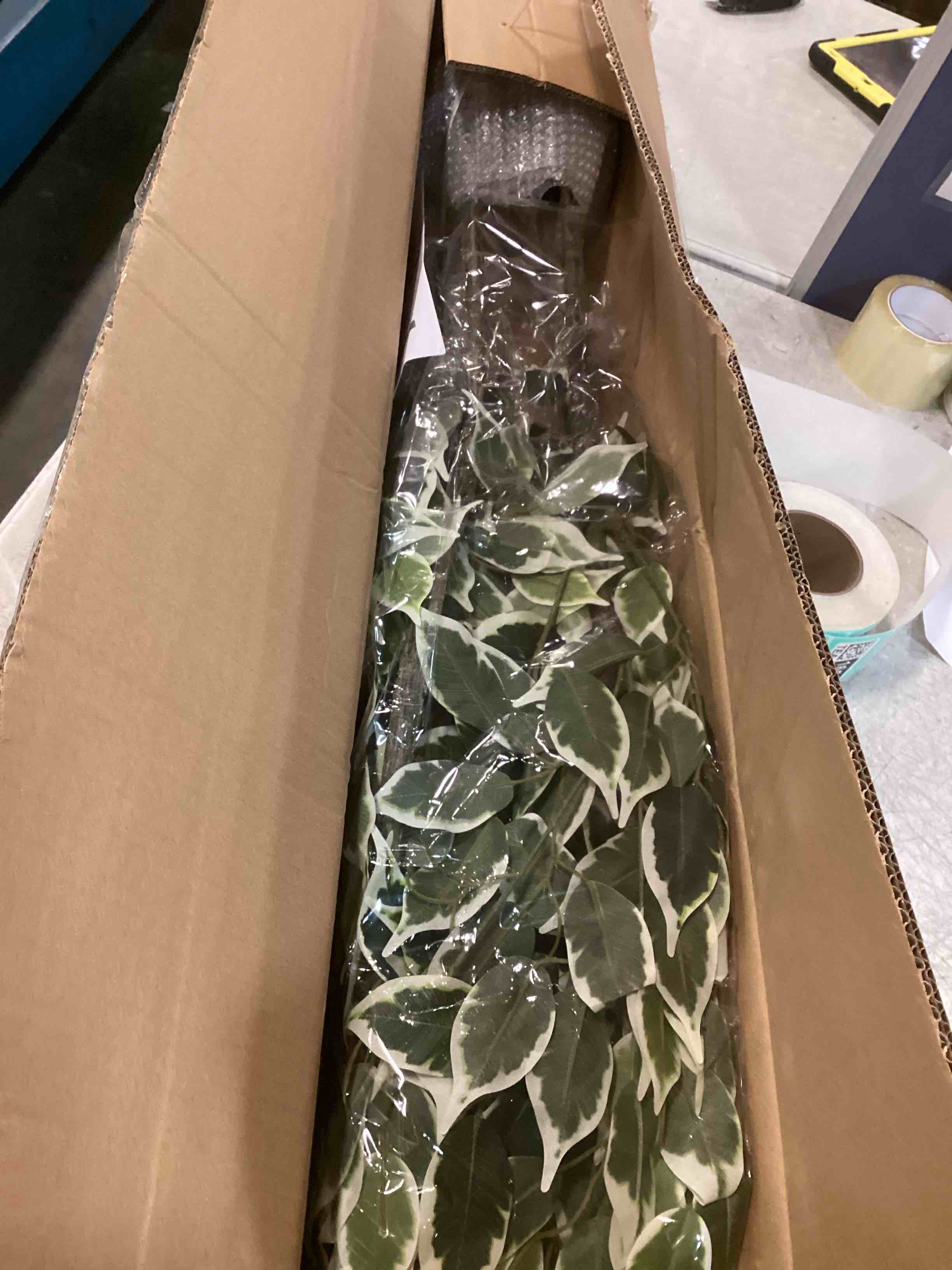 https://s3.amazonaws.com/lotting-images-prod/bidfta/TEA1511653_1735654457029.jpeg