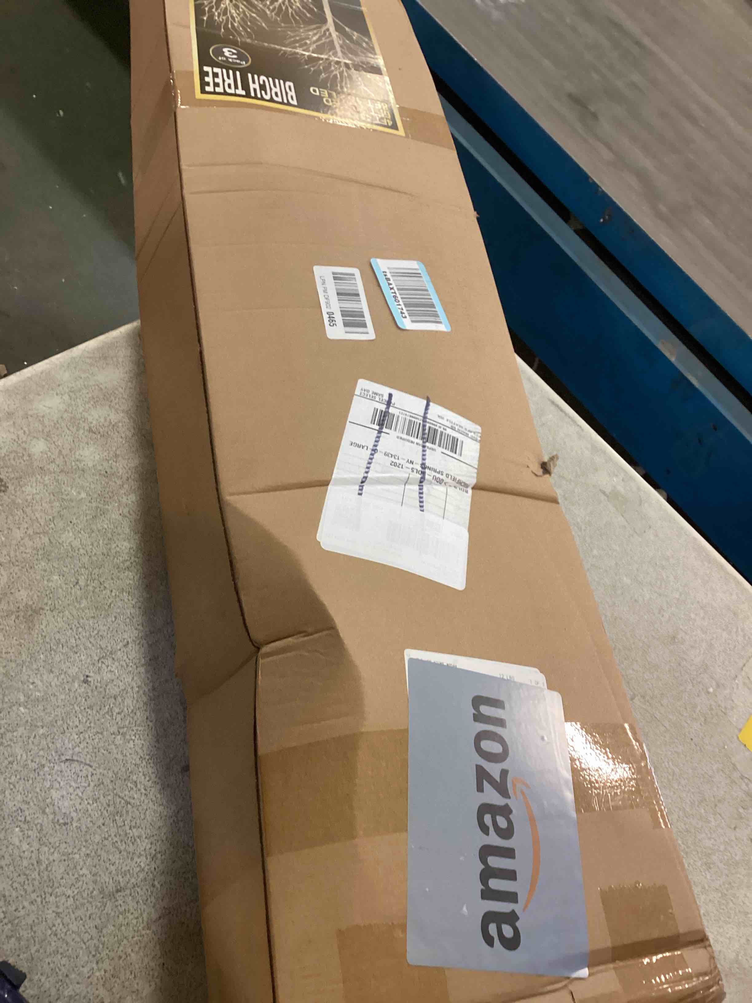 https://s3.amazonaws.com/lotting-images-prod/bidfta/TEA1513920_1734981894010.jpeg